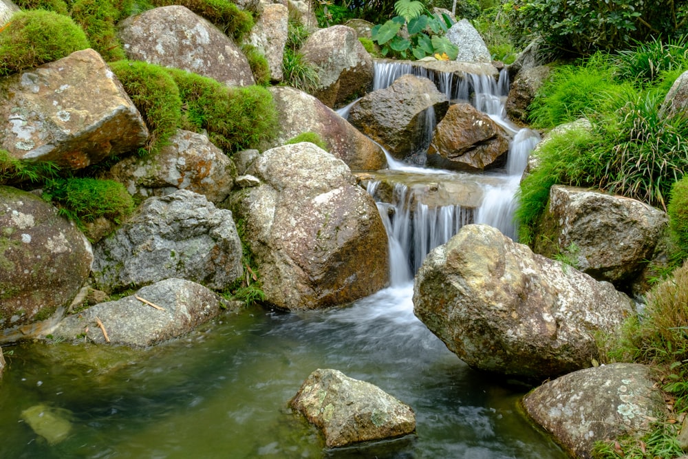 Grünes Moos auf grauen Felsen am Fluss