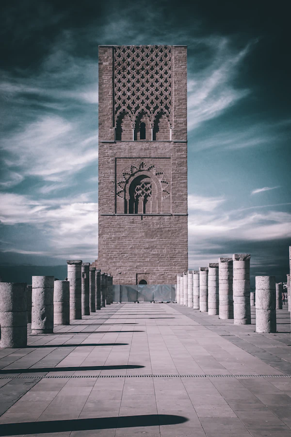متحف محمد السادس للفن الحديث والمعاصر – 1