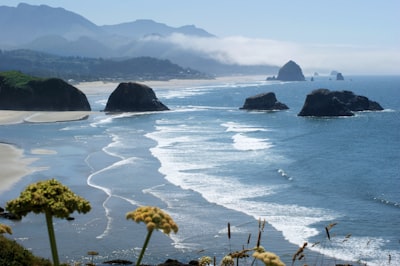 Cannon Beach