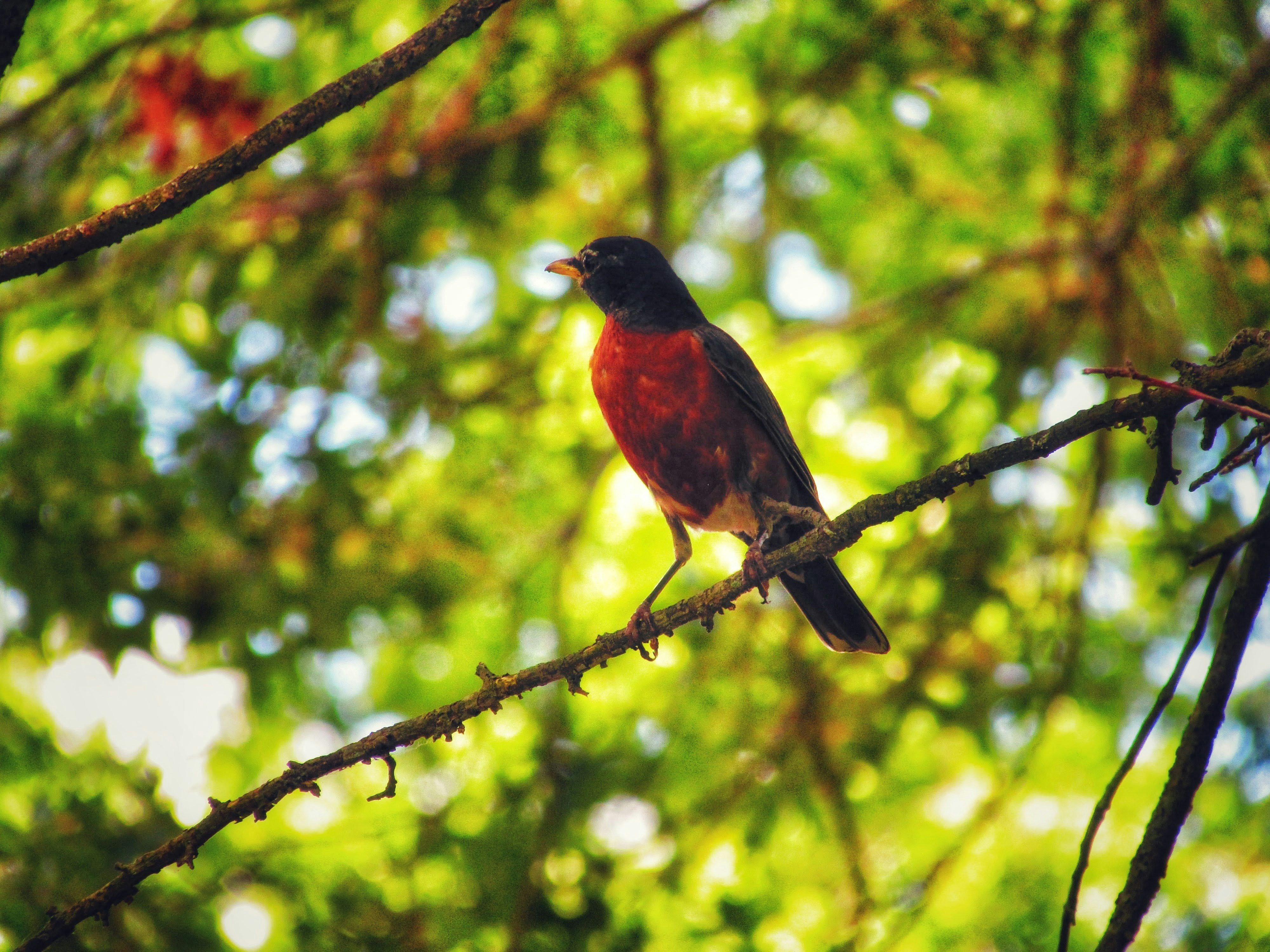 Photo by lesliebeasley