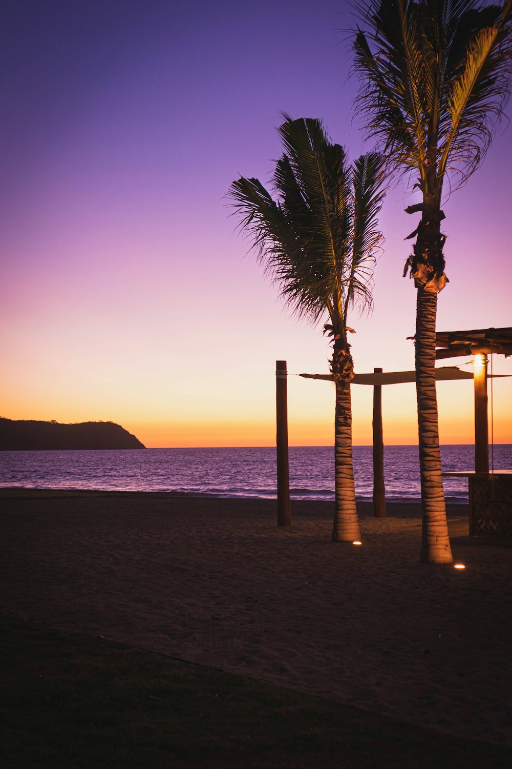 palm tree near body of water during sunset