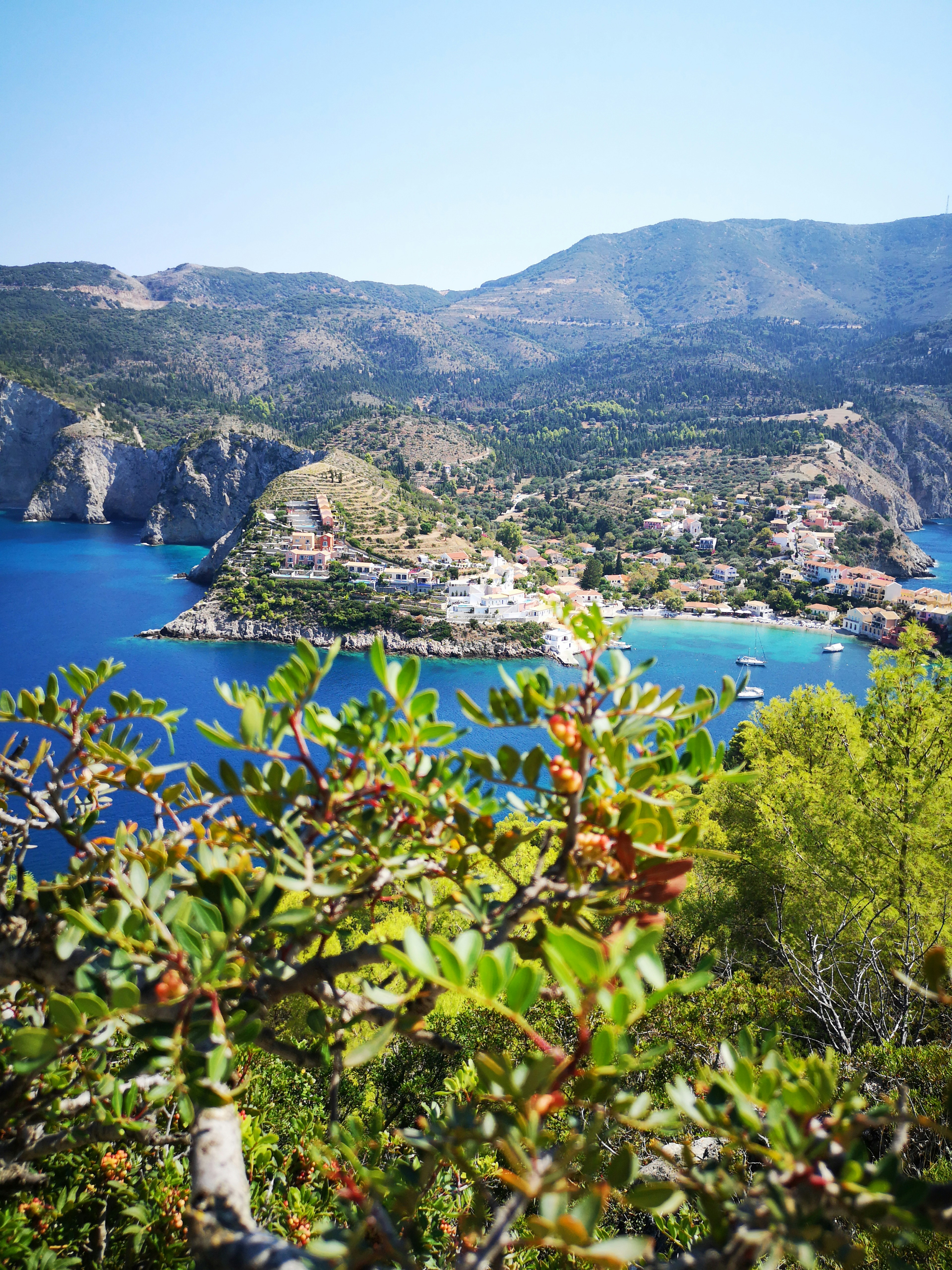 Photo by knuckles_echidna