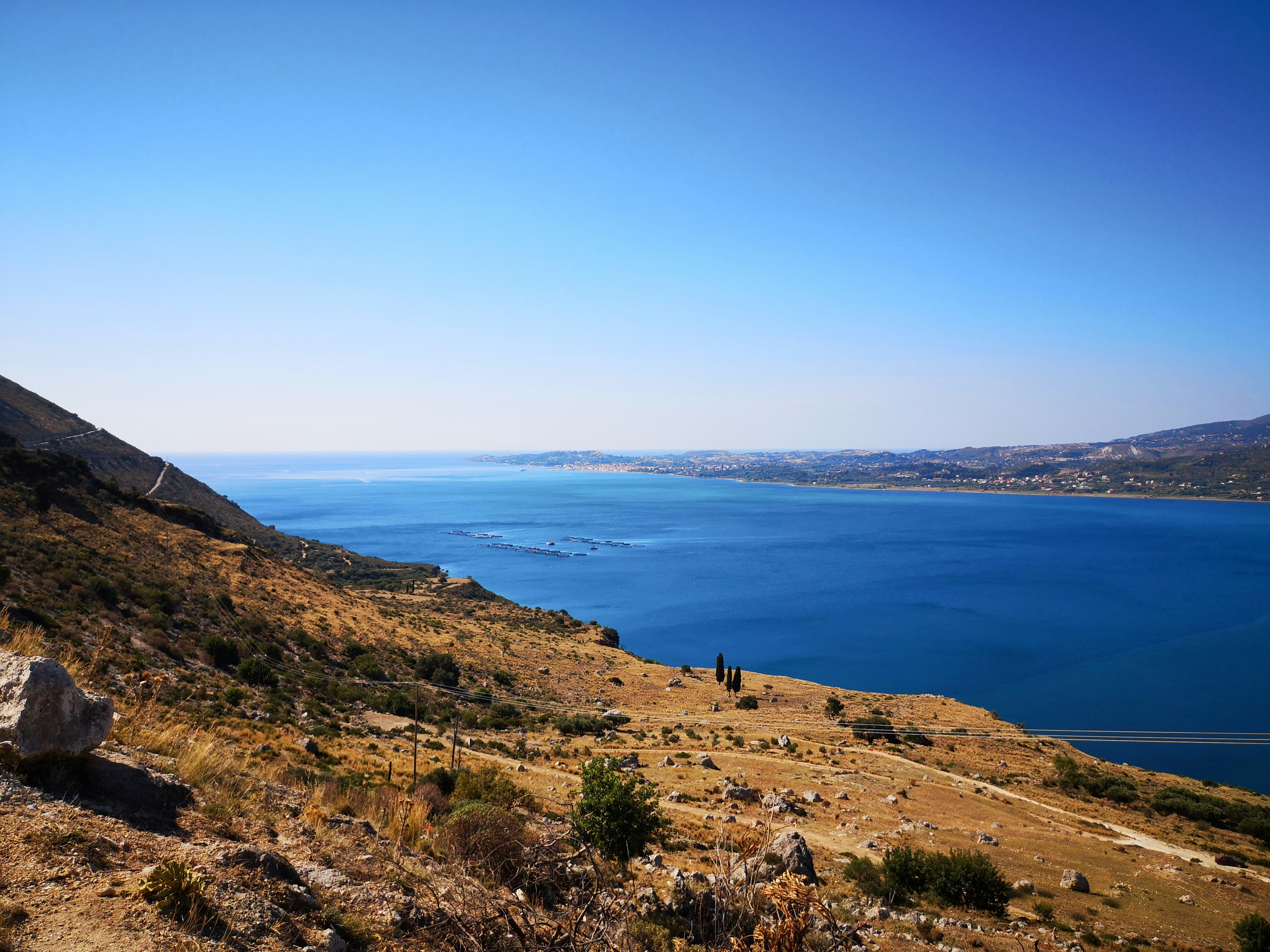 Photo by knuckles_echidna