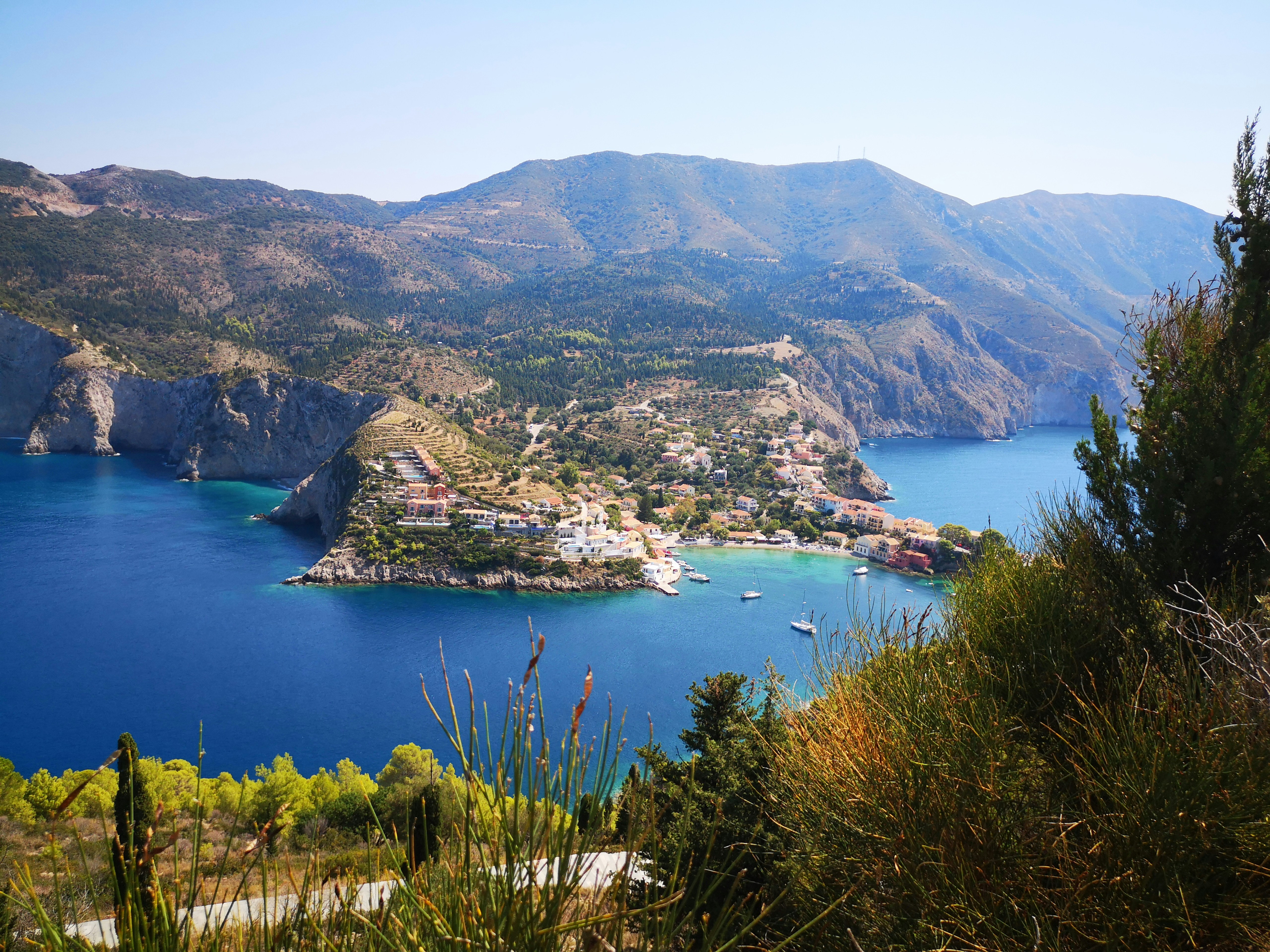 Photo by knuckles_echidna