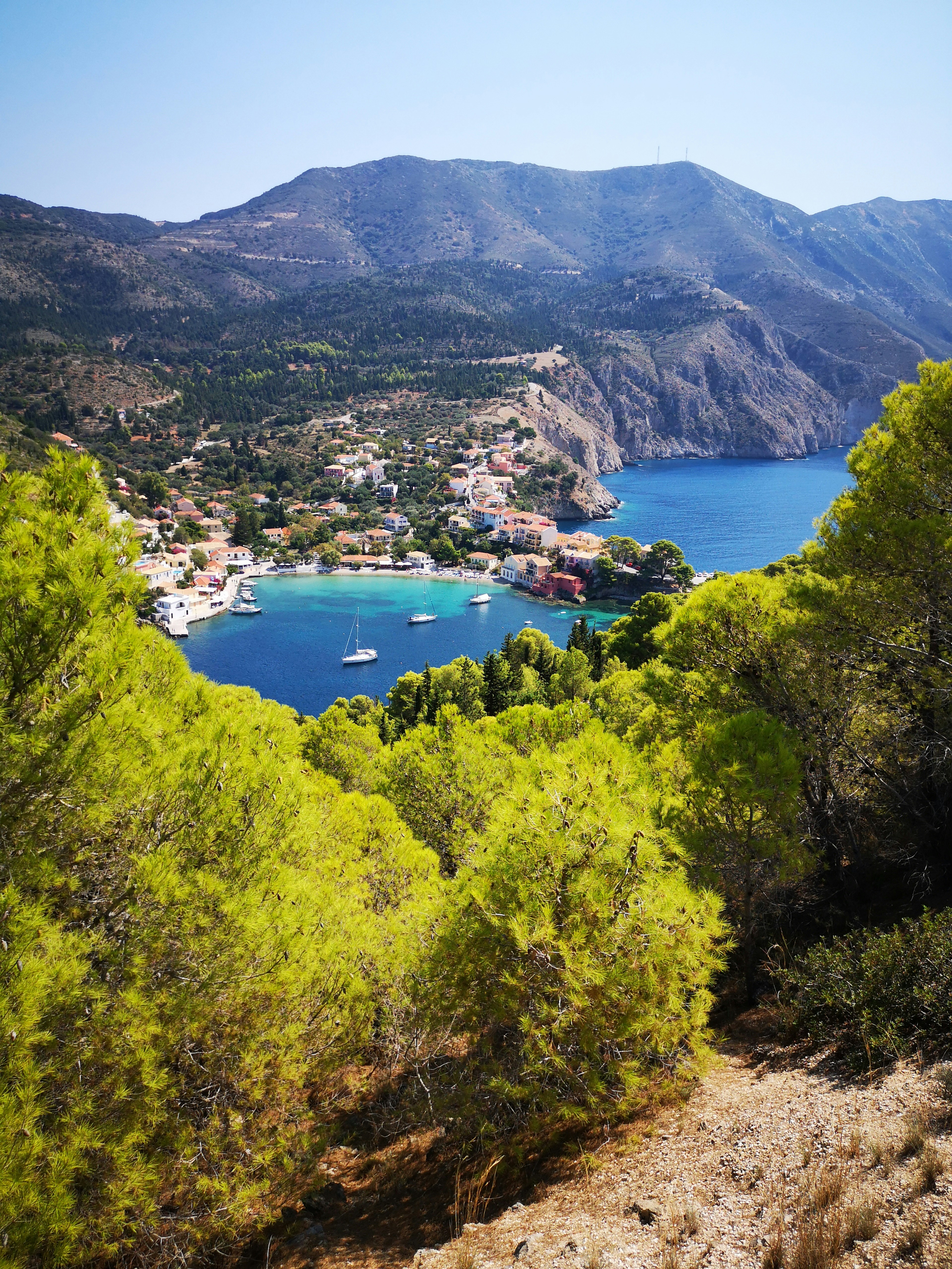 Photo by knuckles_echidna