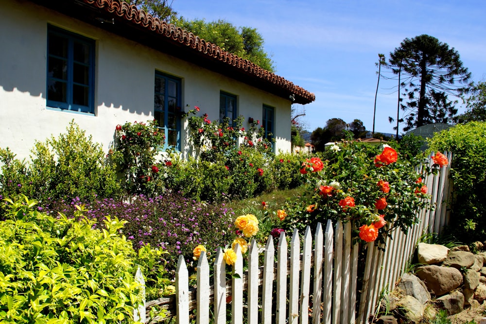 yellow and red flowers near brown wooden fence