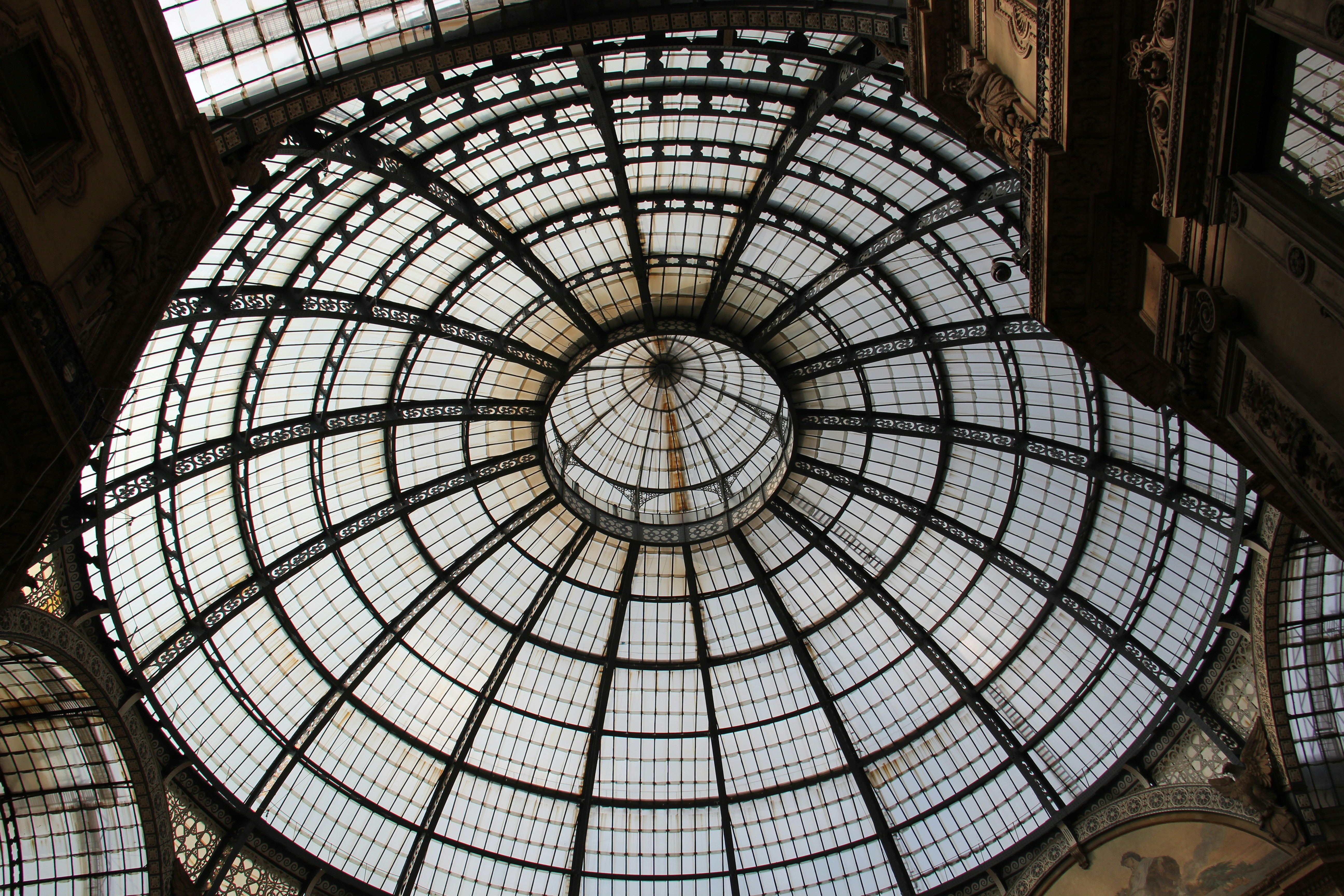 Photo by shalevcohen