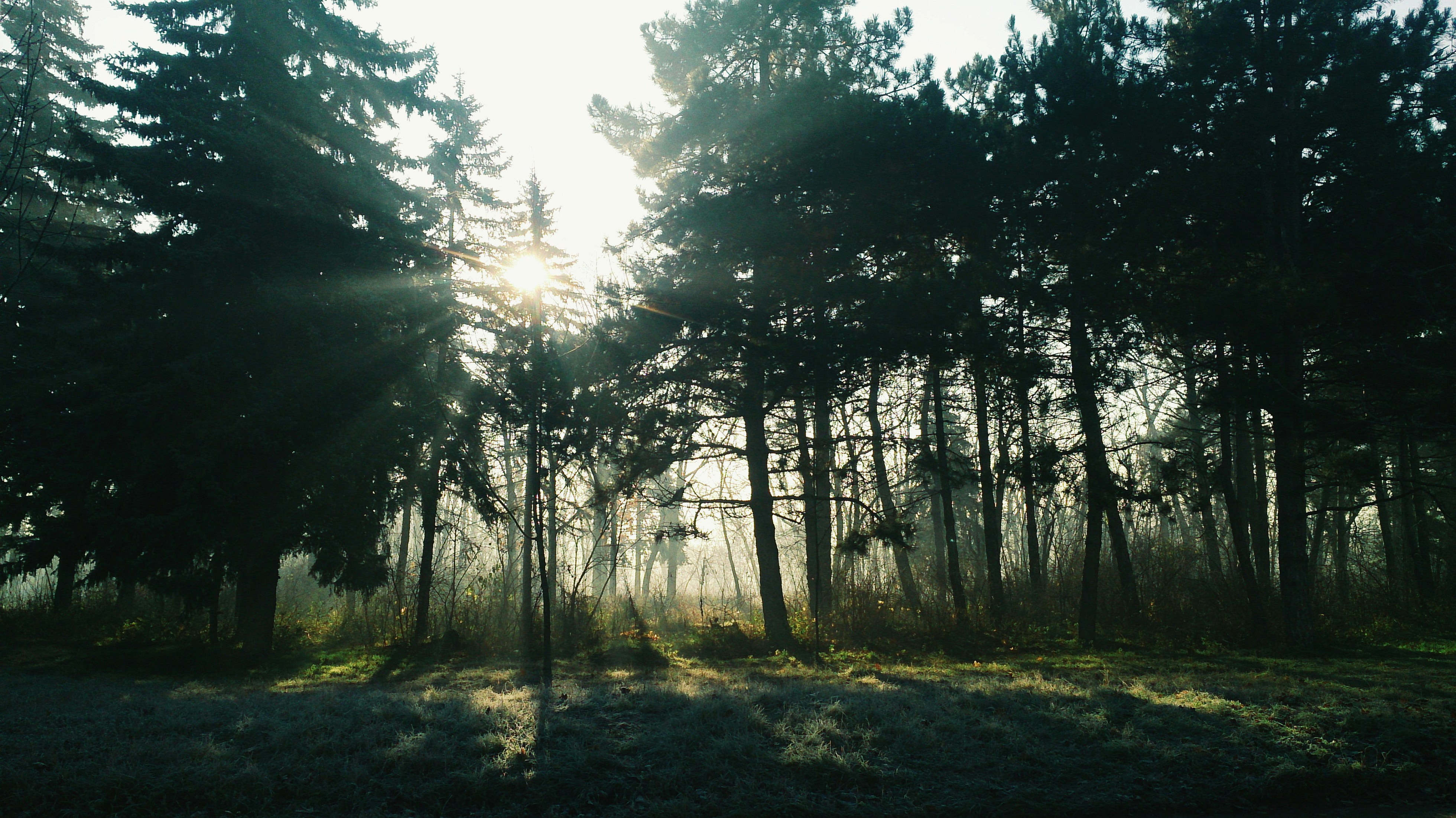 Photo by nasteagangal