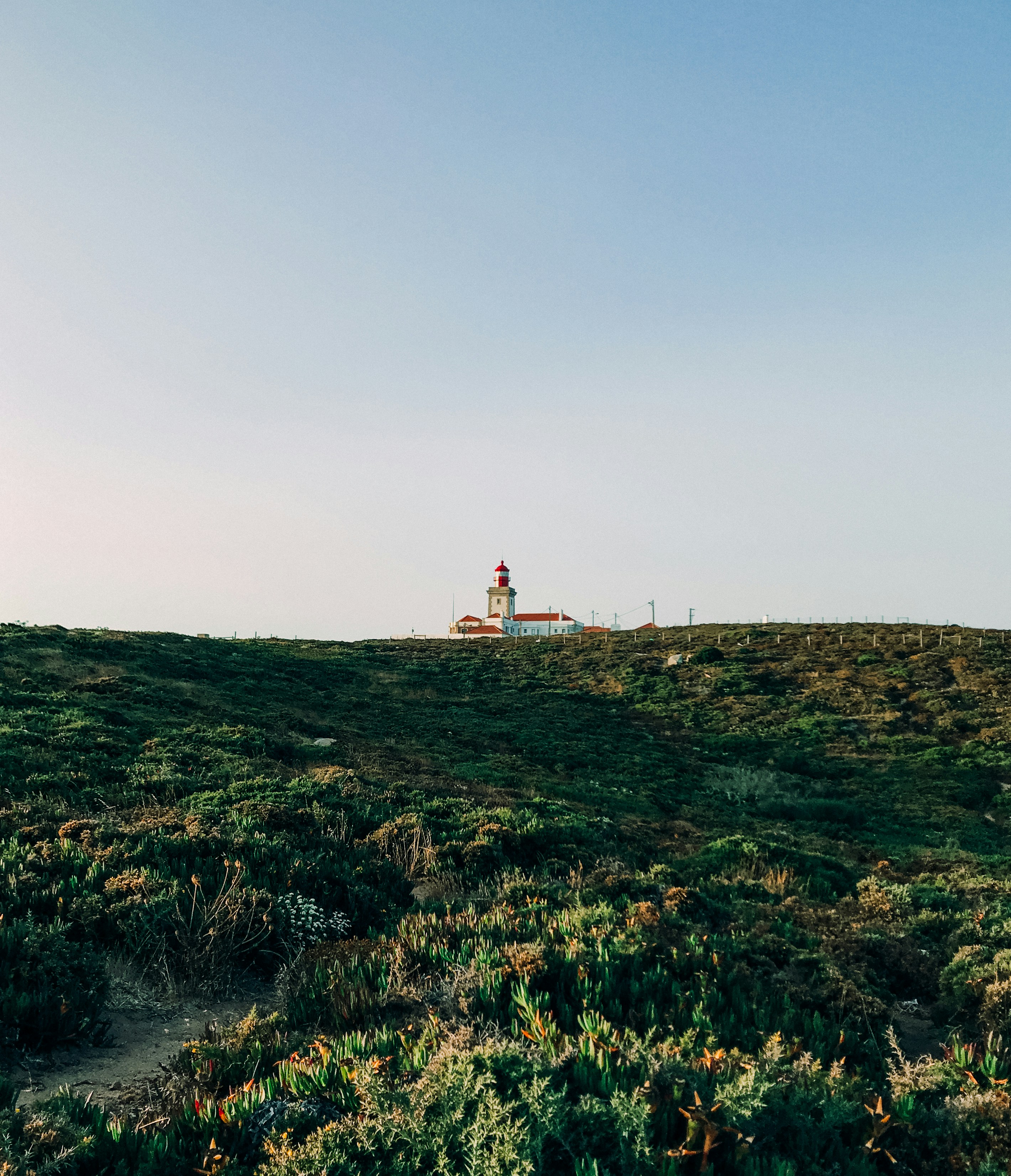 Photo by shandranick