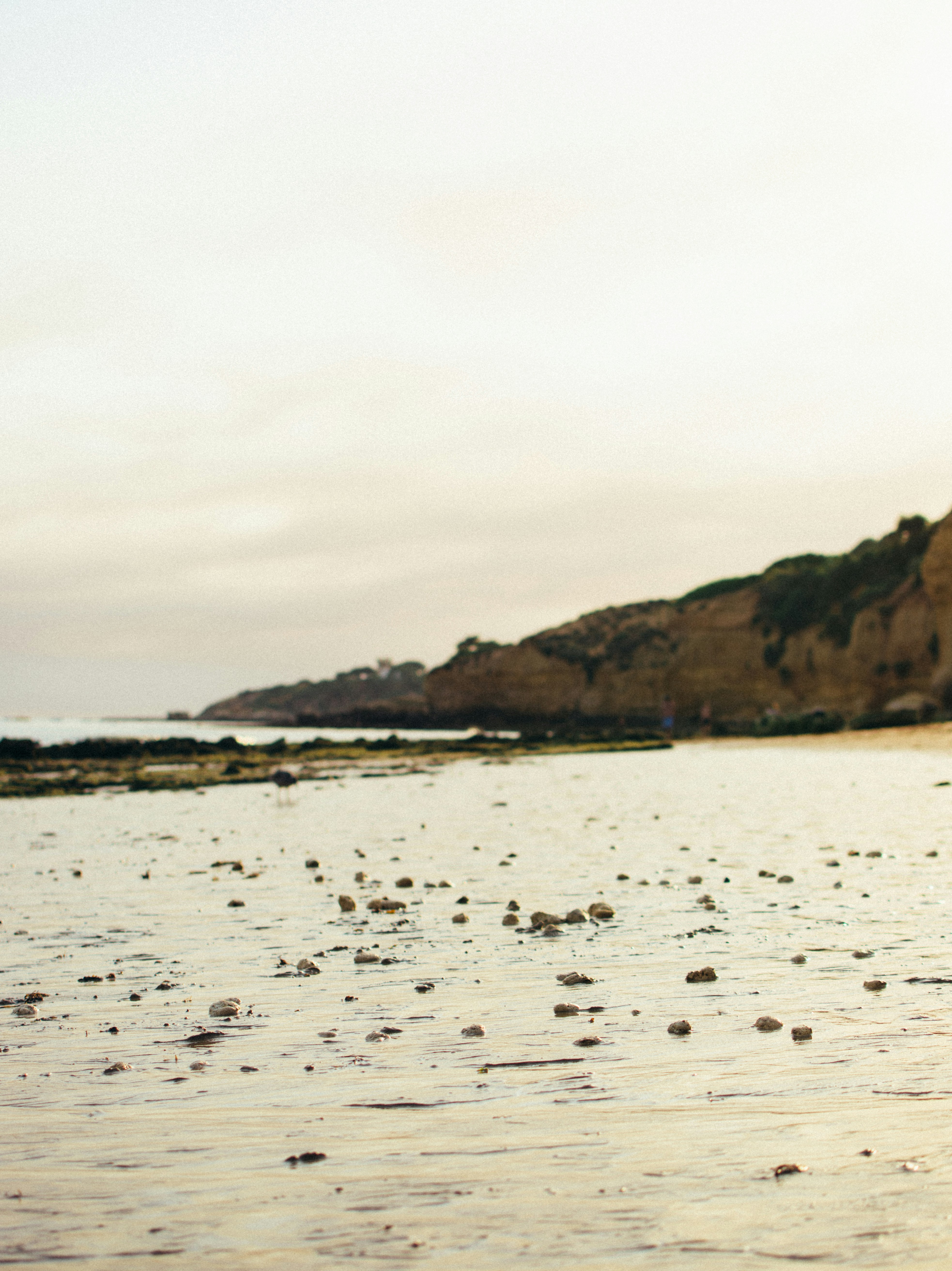 Photo by shandranick