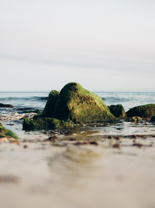 brown rock formation on sea water during daytime in Albufeira Portugal