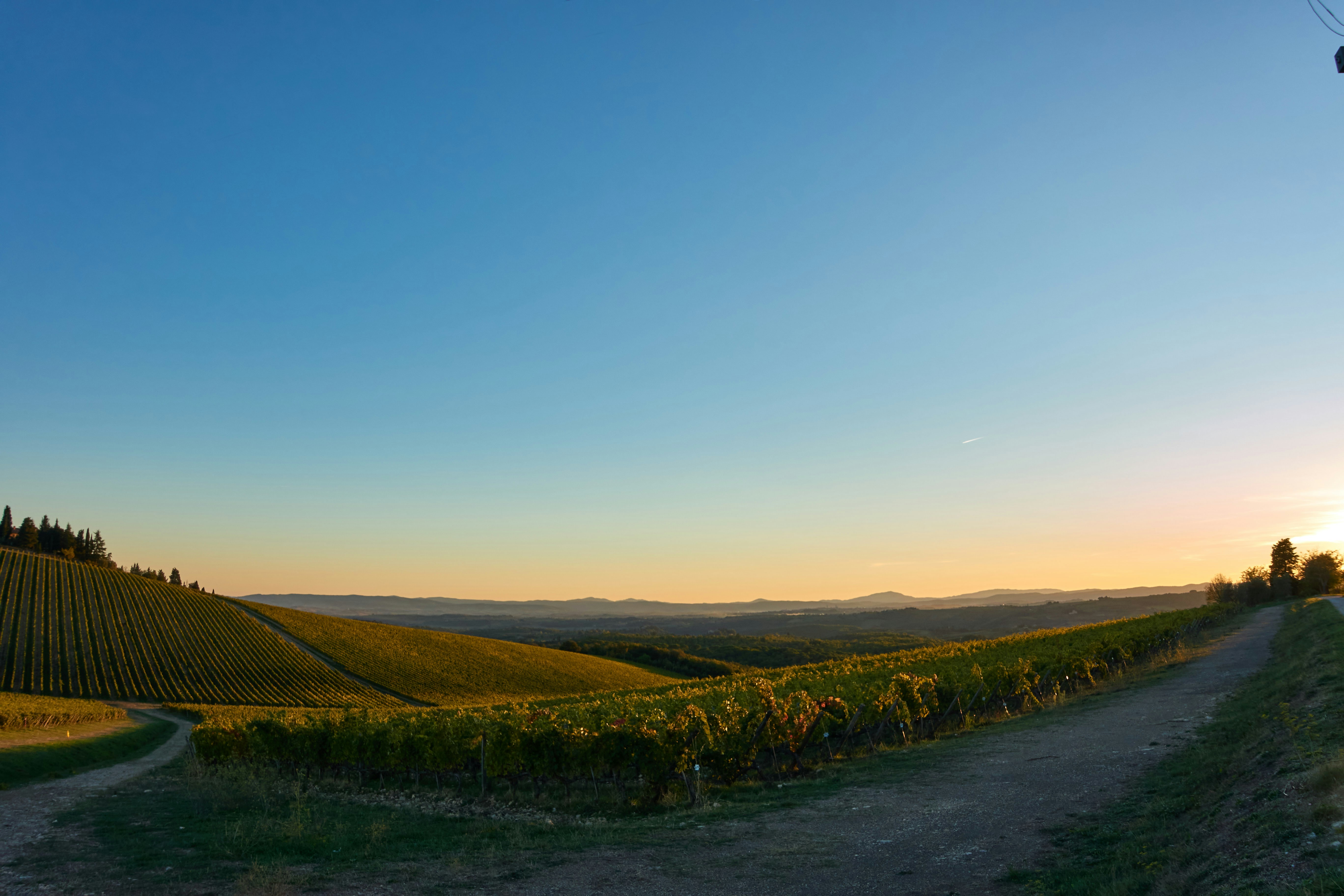 Photo by wolfgang_hasselmann