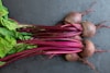 Beet Root Juice Powder B2B Supply for Natural Color Applications in Food Manufacturing