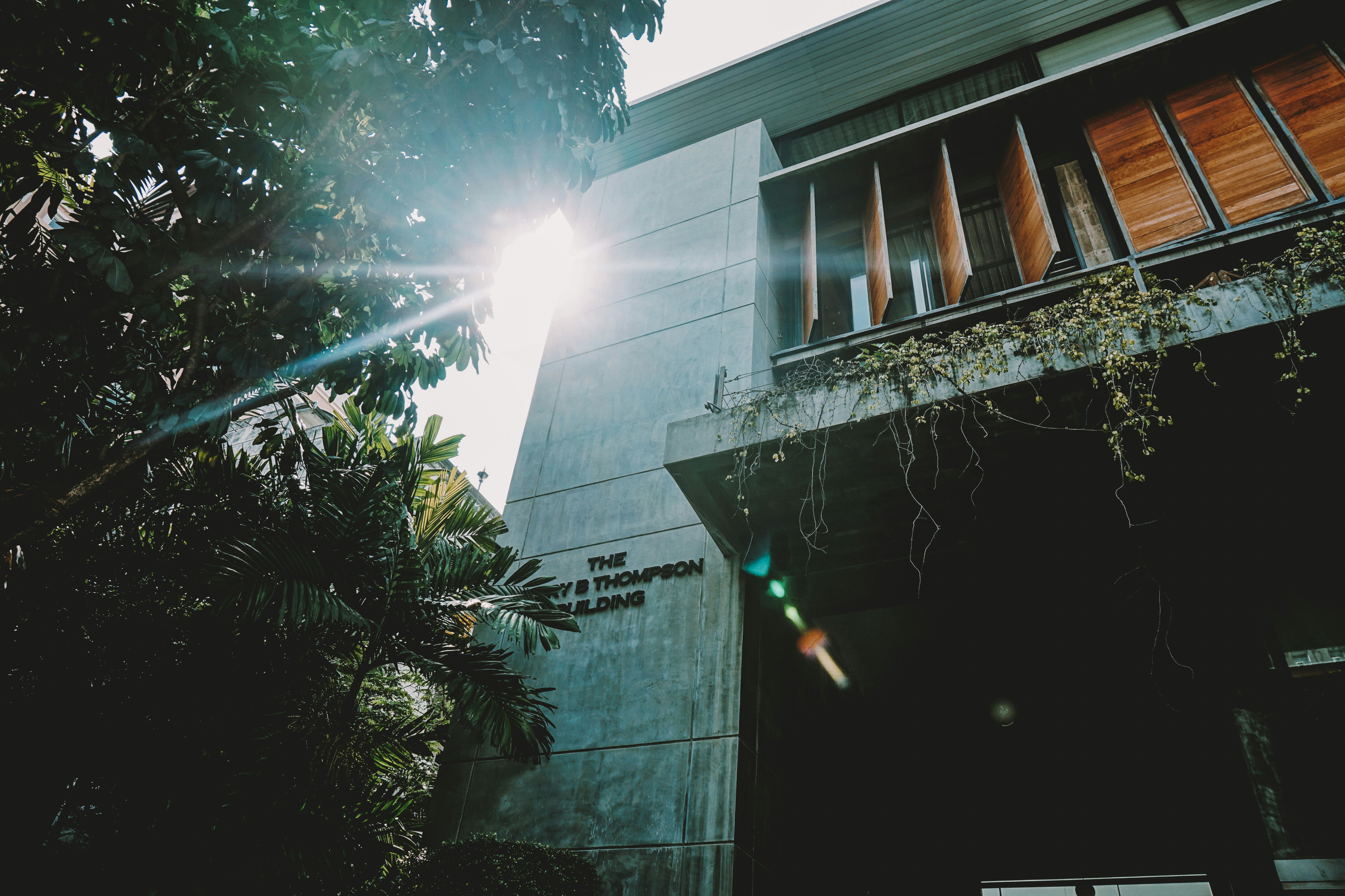 Mammoth.Bet header image