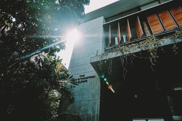 Designing for San Diego Heat and Sun: green tree beside brown concrete building during daytime