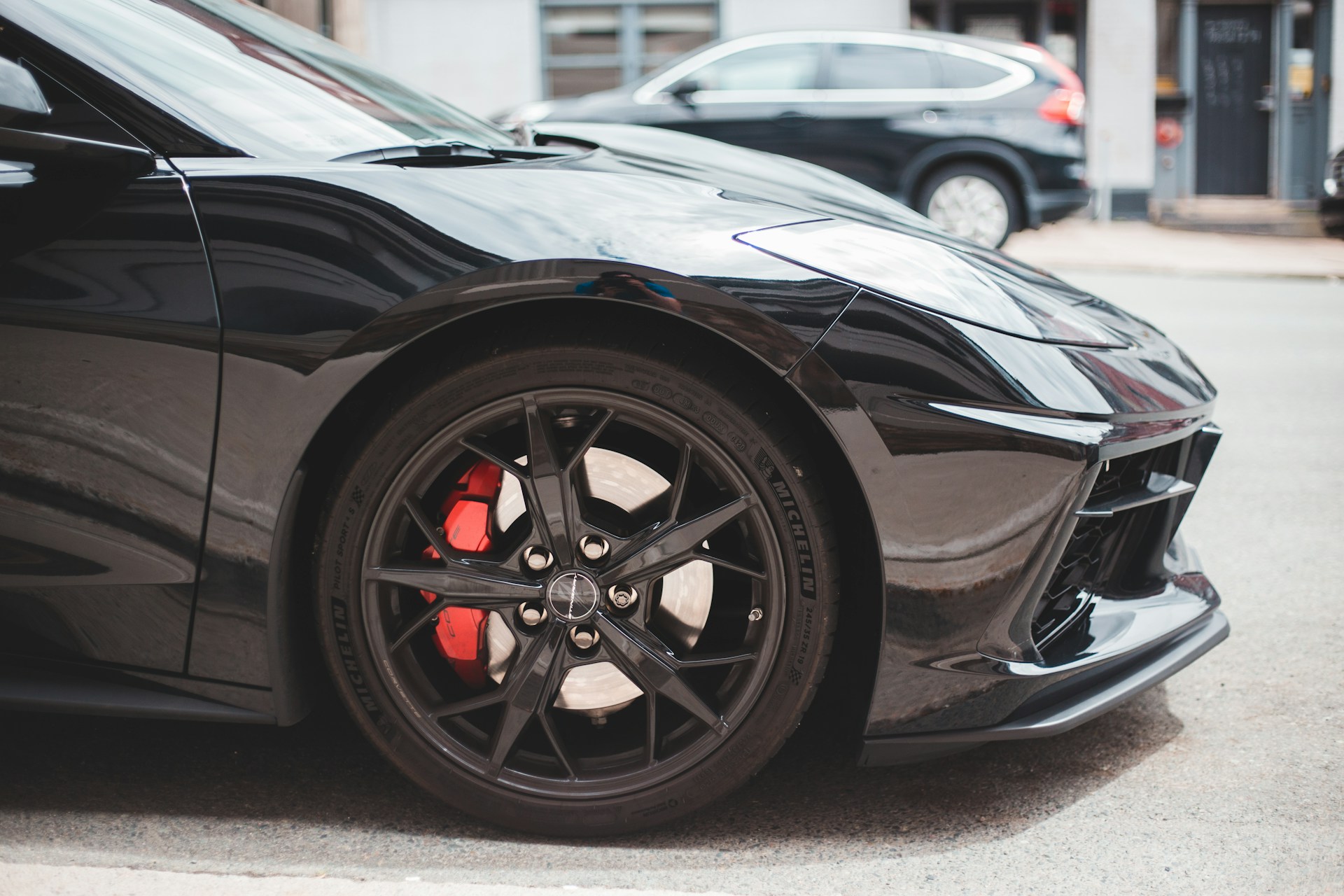 woman holding dried flower