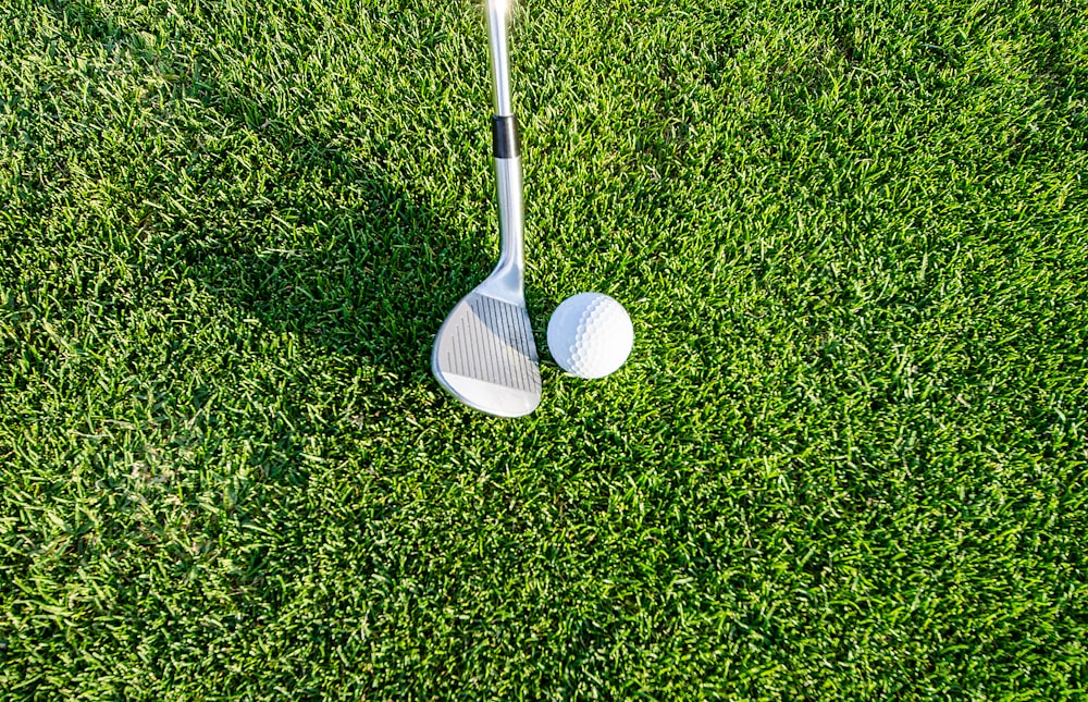 white golf club on green grass field