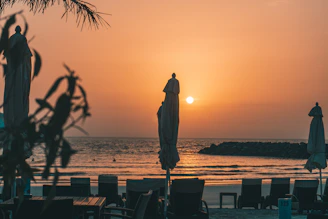 silhouette of man standing on beach during sunset