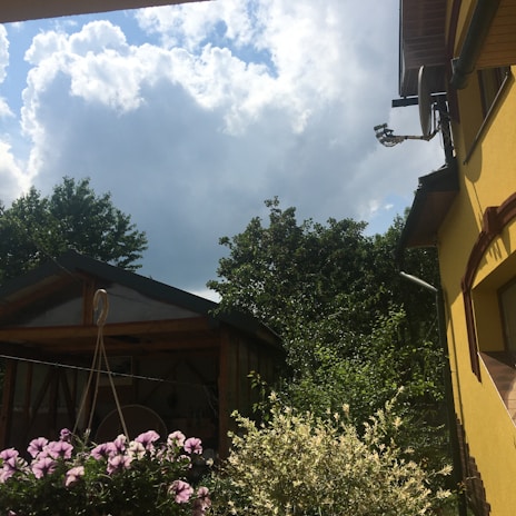 Sunny outdoor scene with a well-organized garden shed full of colorful pots and tools.