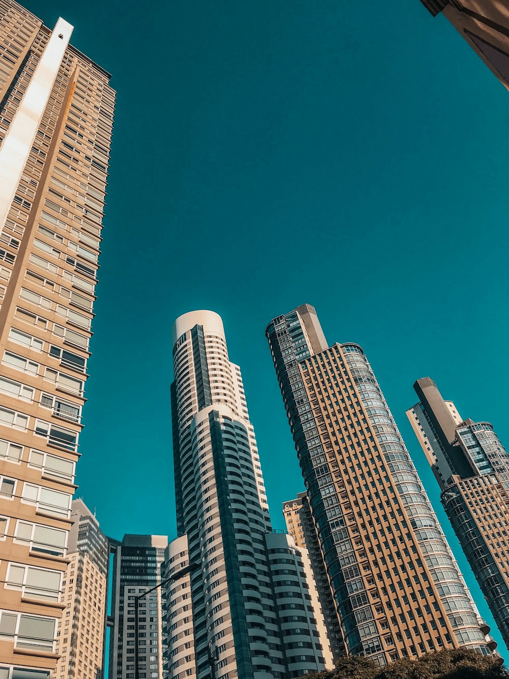 Edificios de gran altura marrones y blancos bajo el cielo azul durante el día