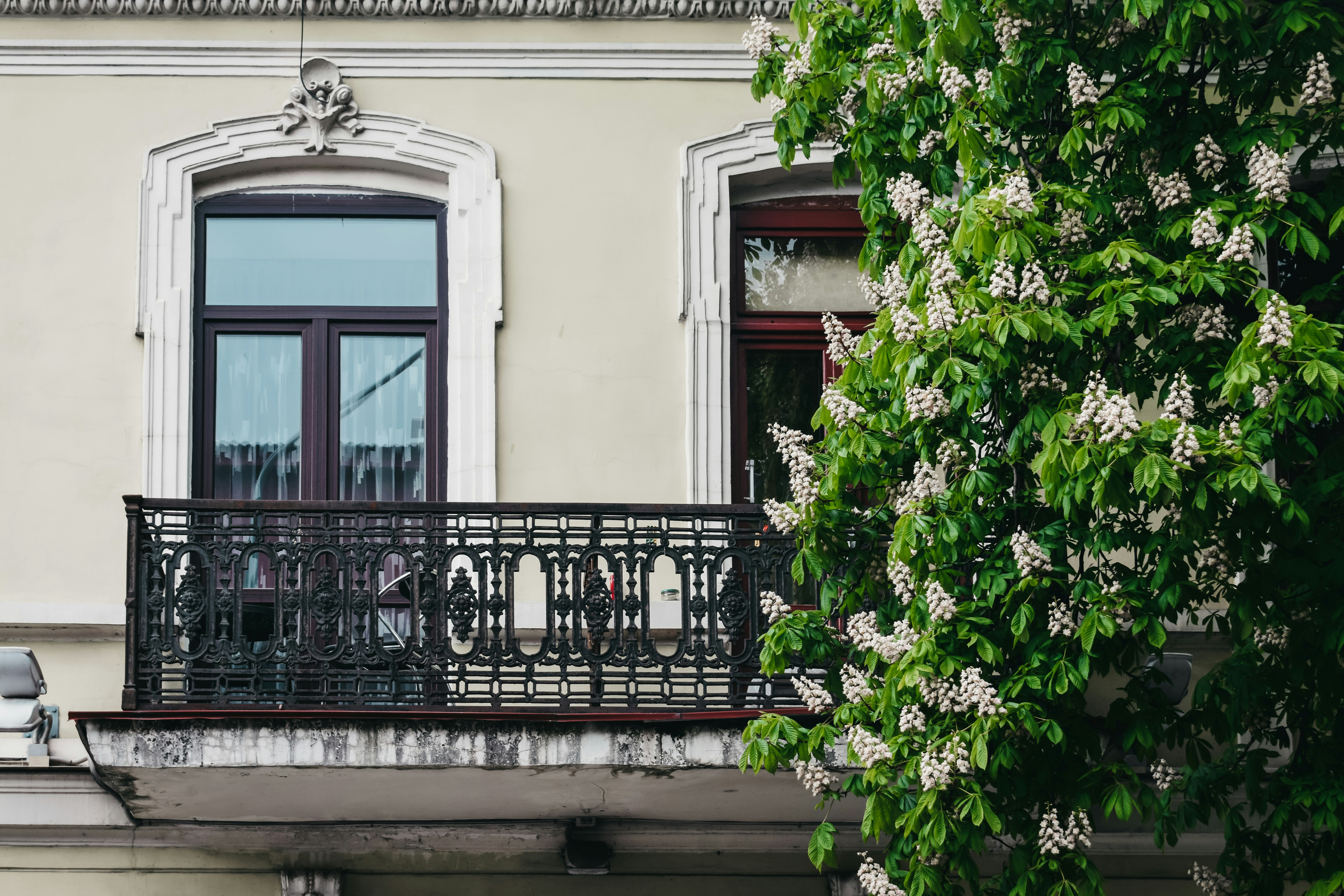 Photo by darya_tryfanava