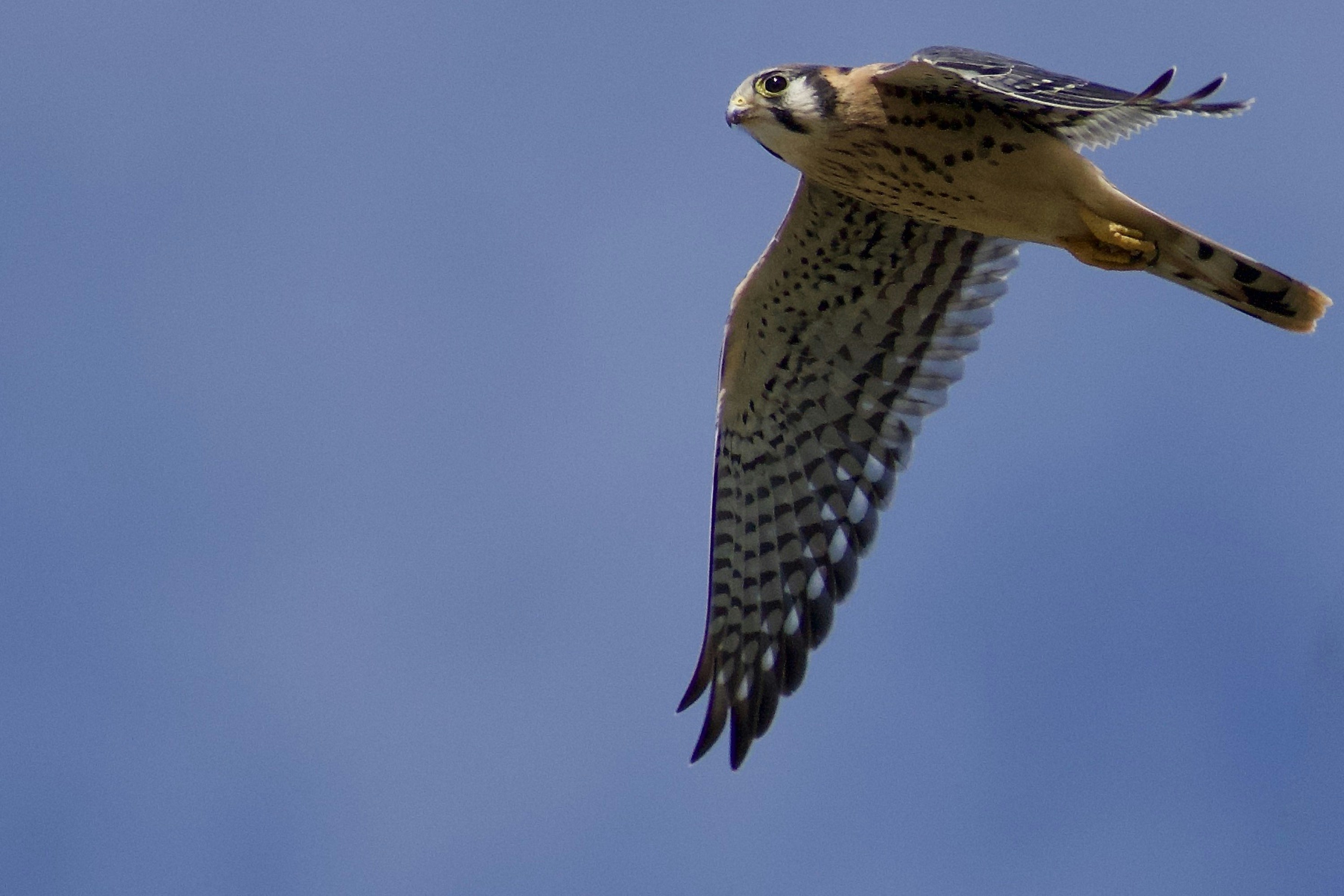 Photo by elisastonephotography