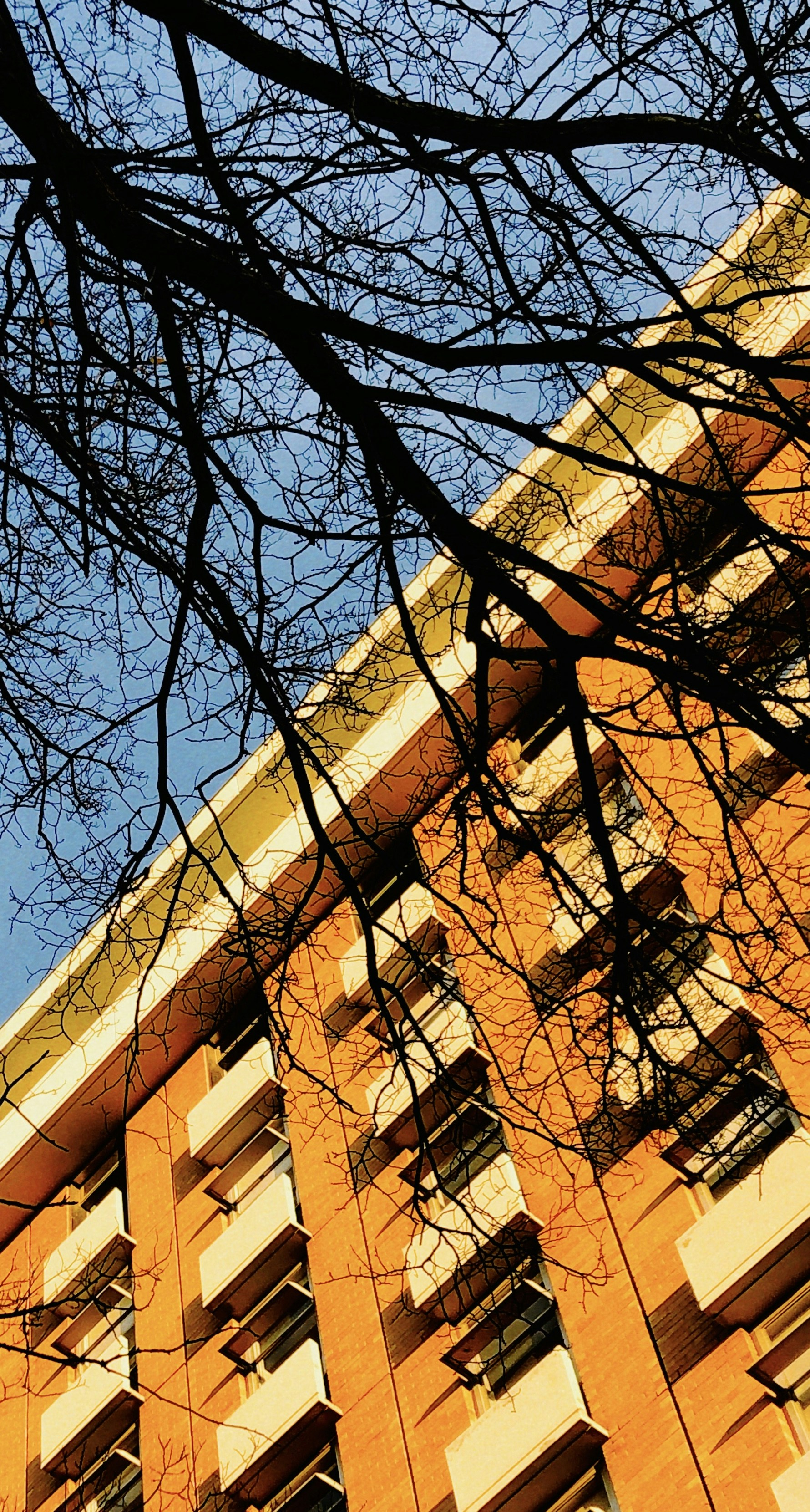 Photo by abirhiranandani