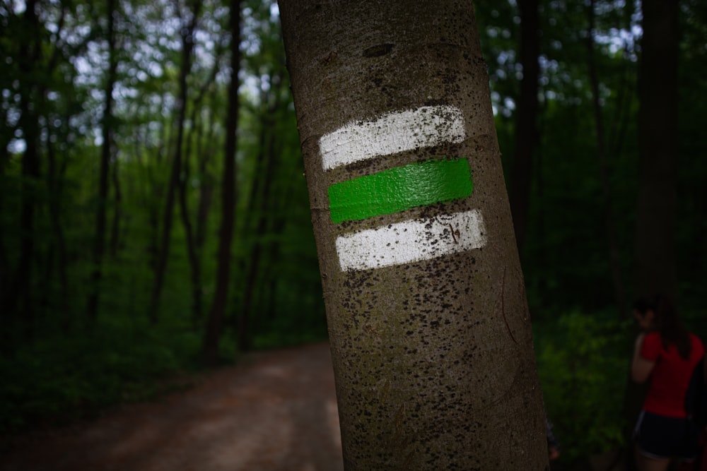 tronco de árbol marrón y verde