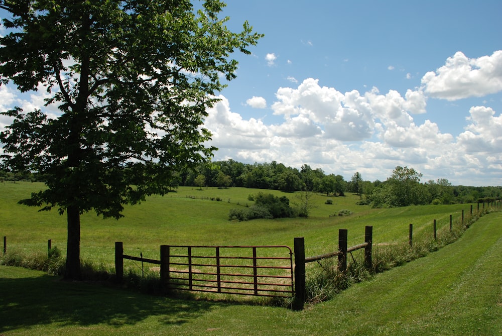 green grass field with brown wooden fence under blue and white cloudy sky during daytime