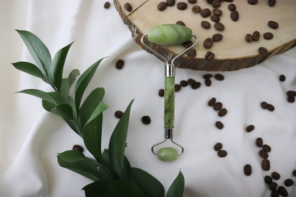 green plant on brown wooden seat