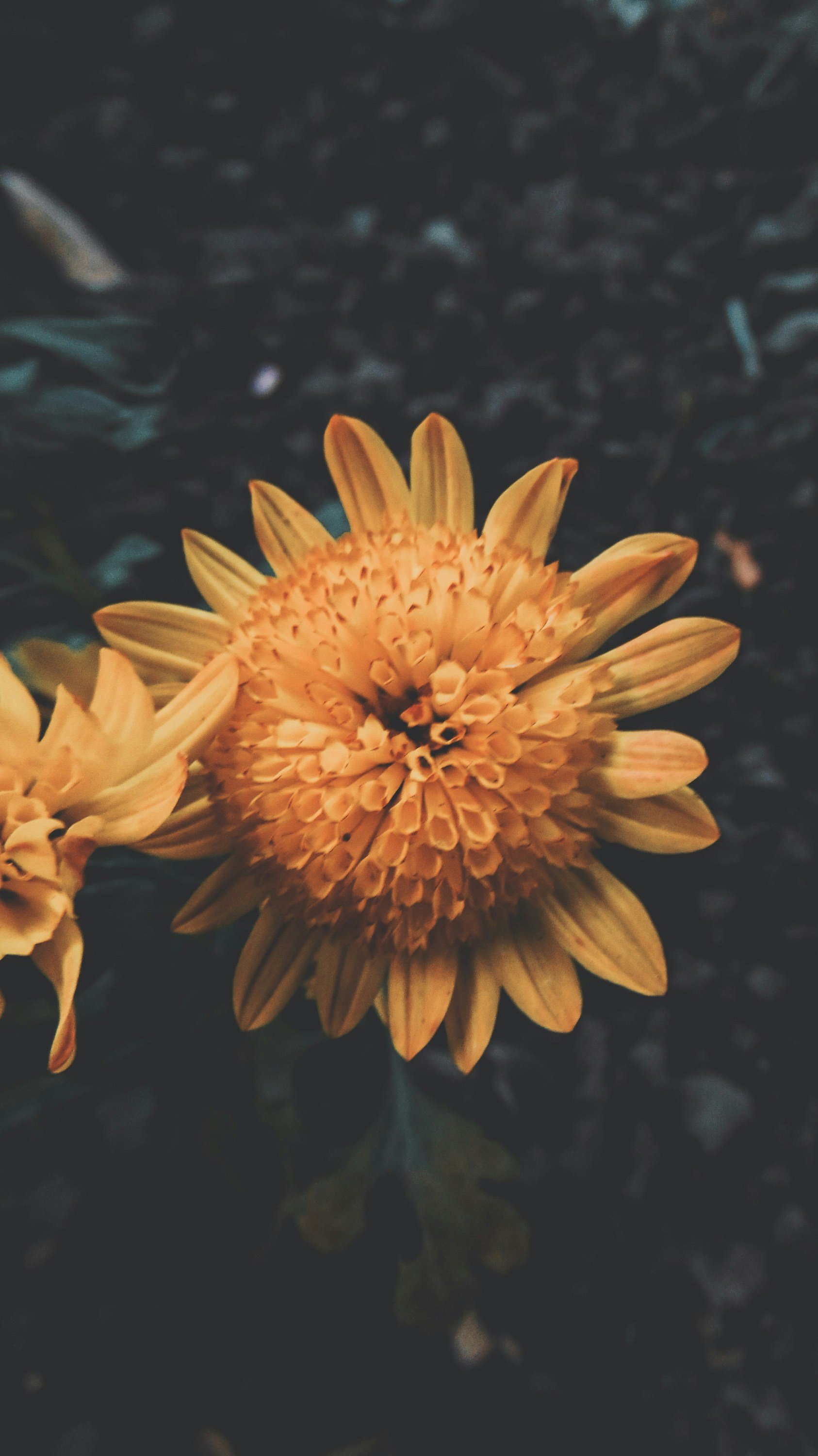 Photo by lucasvphotos