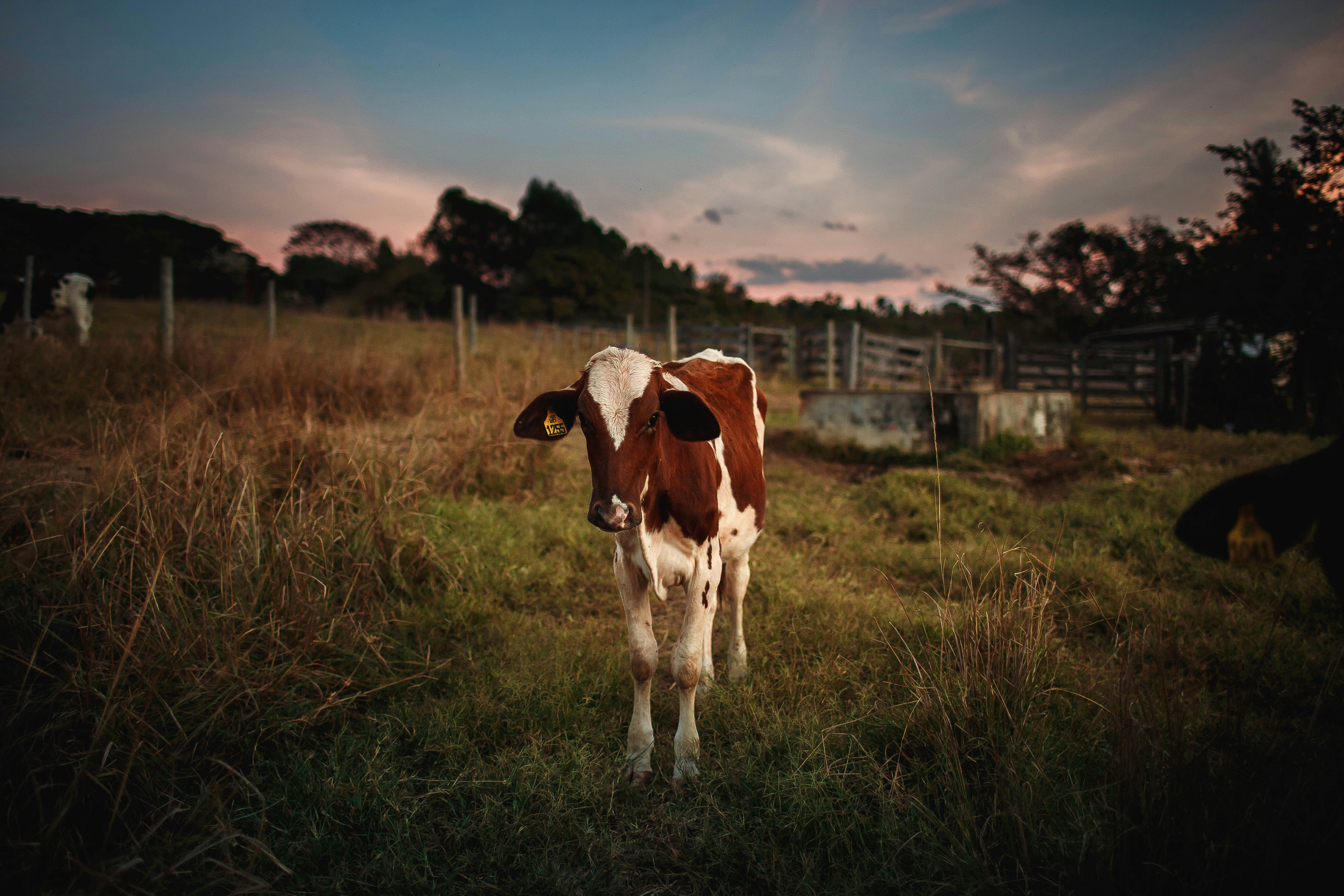 Photo by helenalopesph