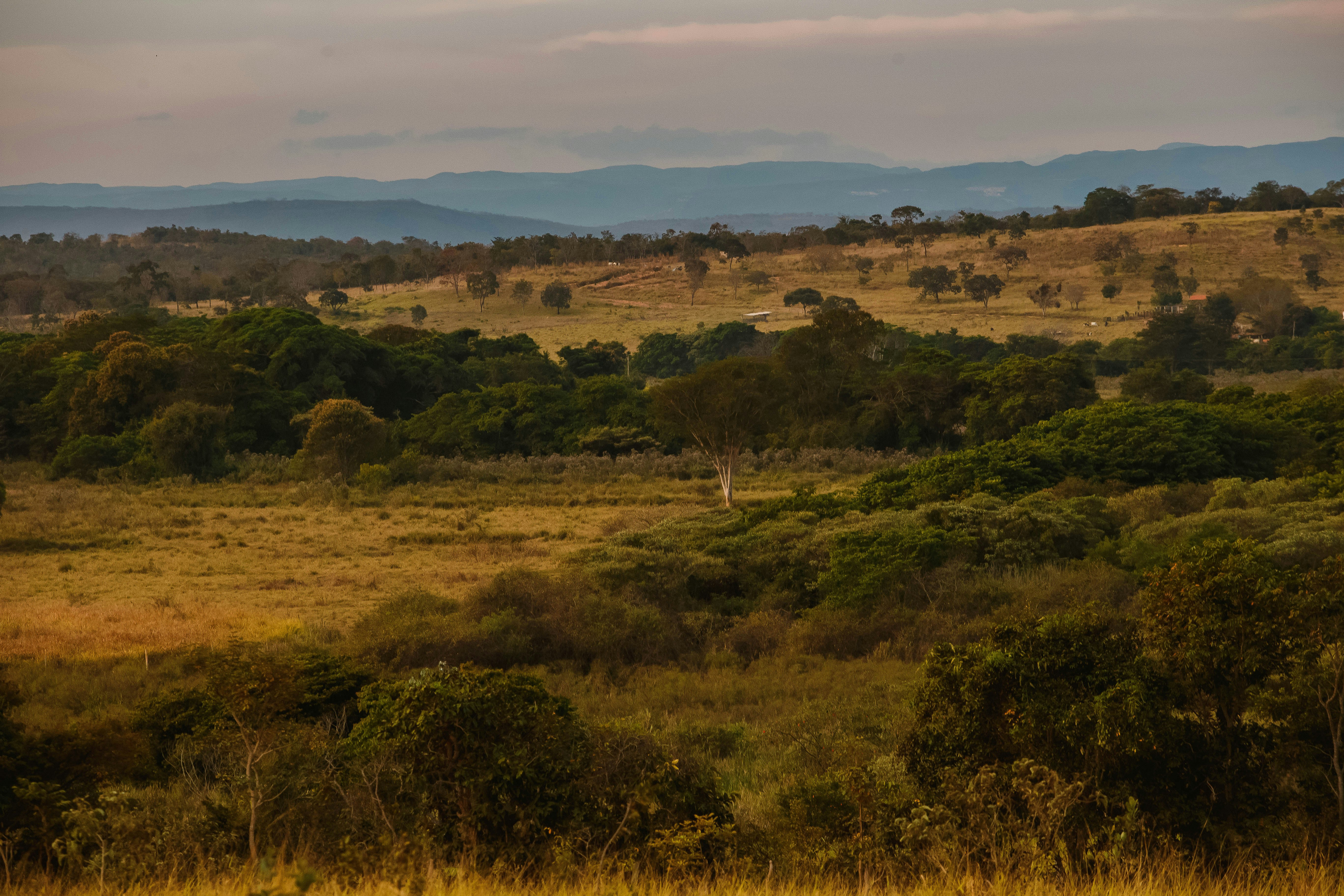 Photo by helenalopesph