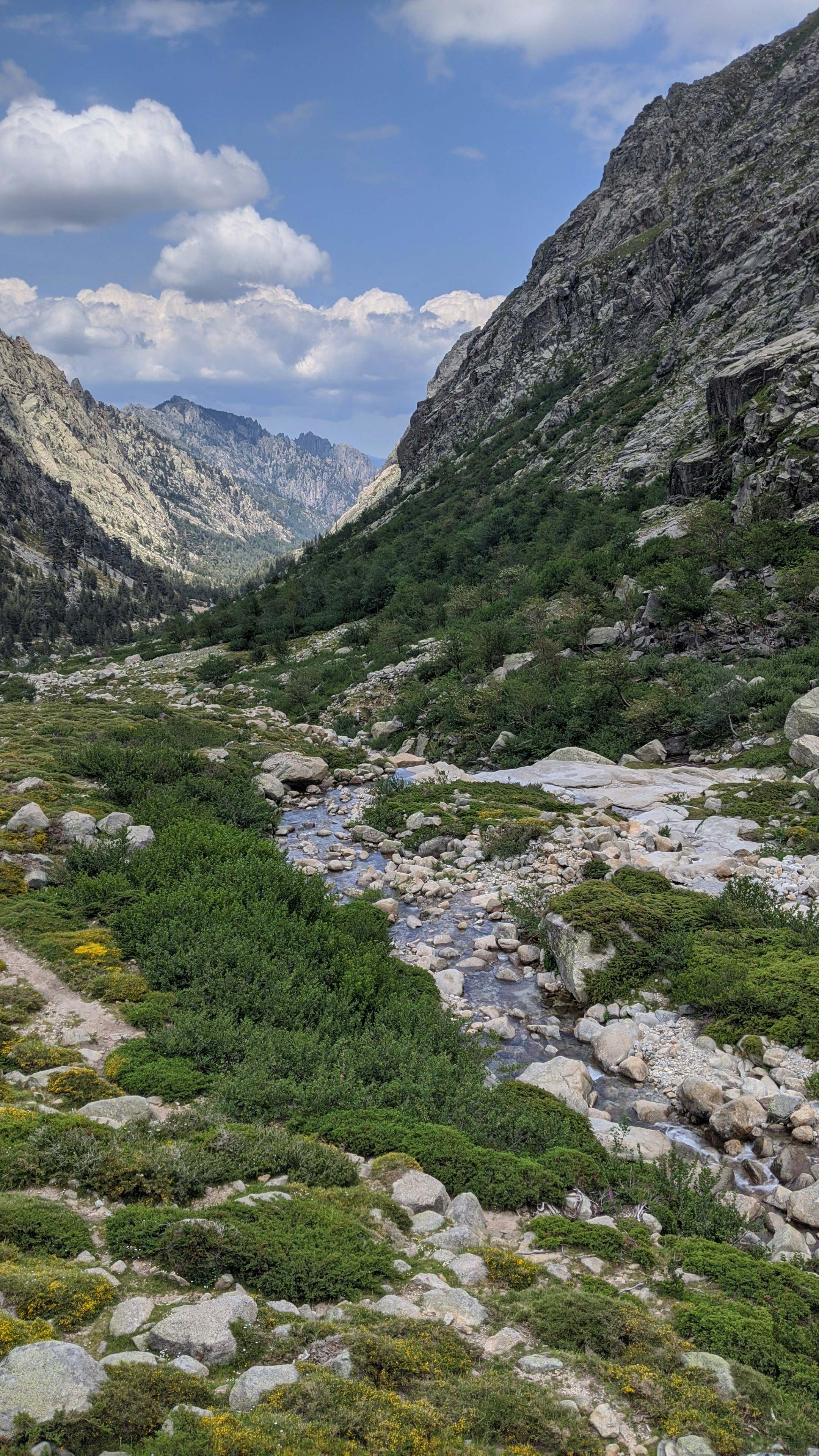 Moltes Bocar (@moltes) | Unsplash Photo Community