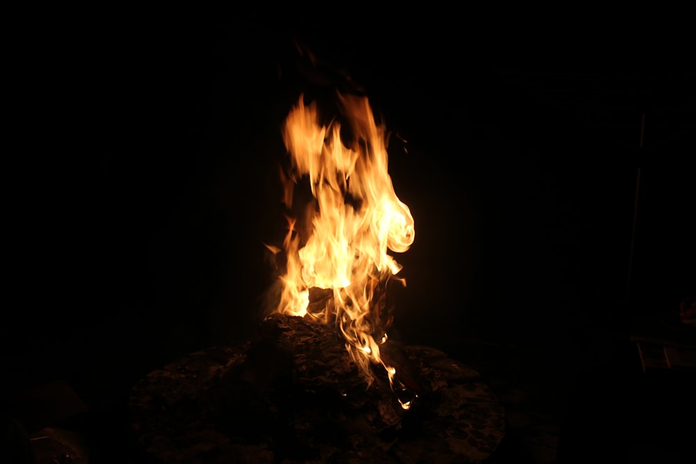 fire in the fire during night time
