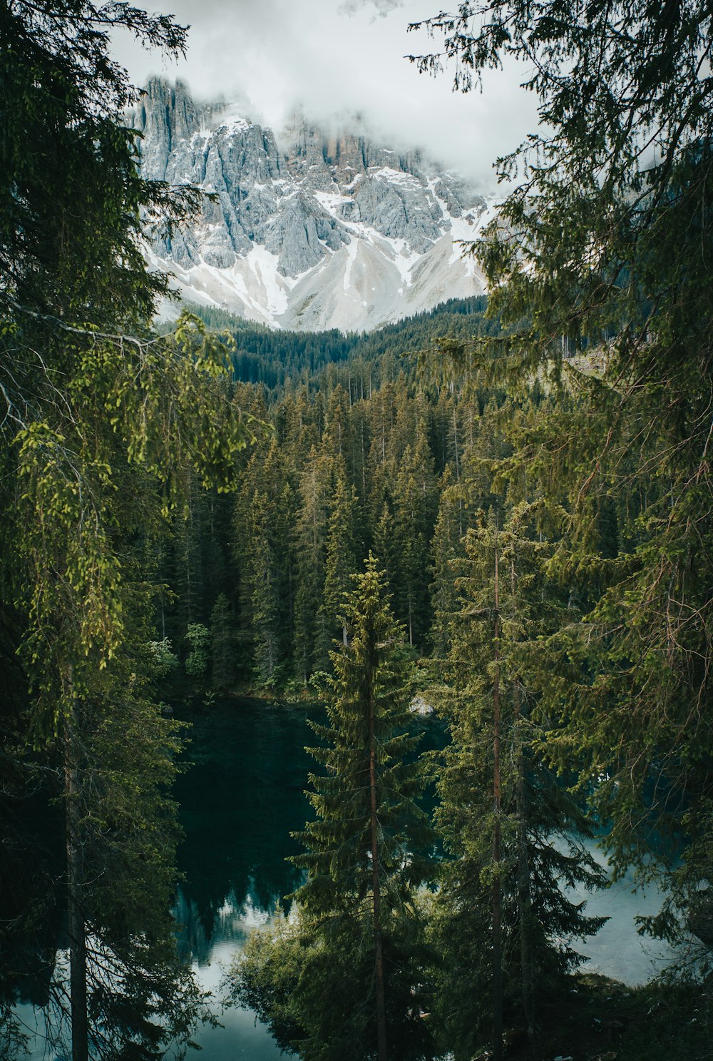 a lake surrounded by trees with a mountain in the background