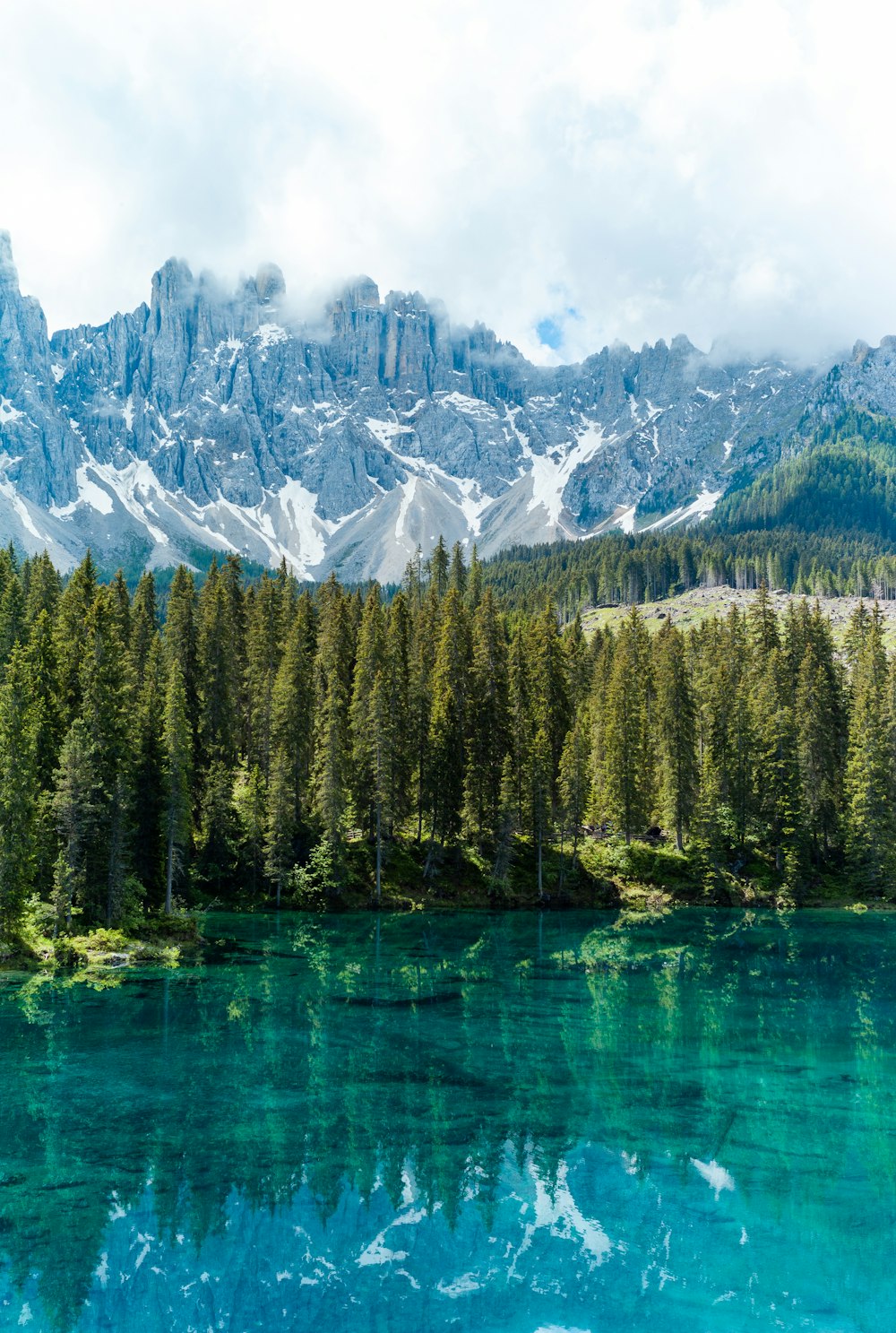 green pine trees near snow covered mountain during daytime