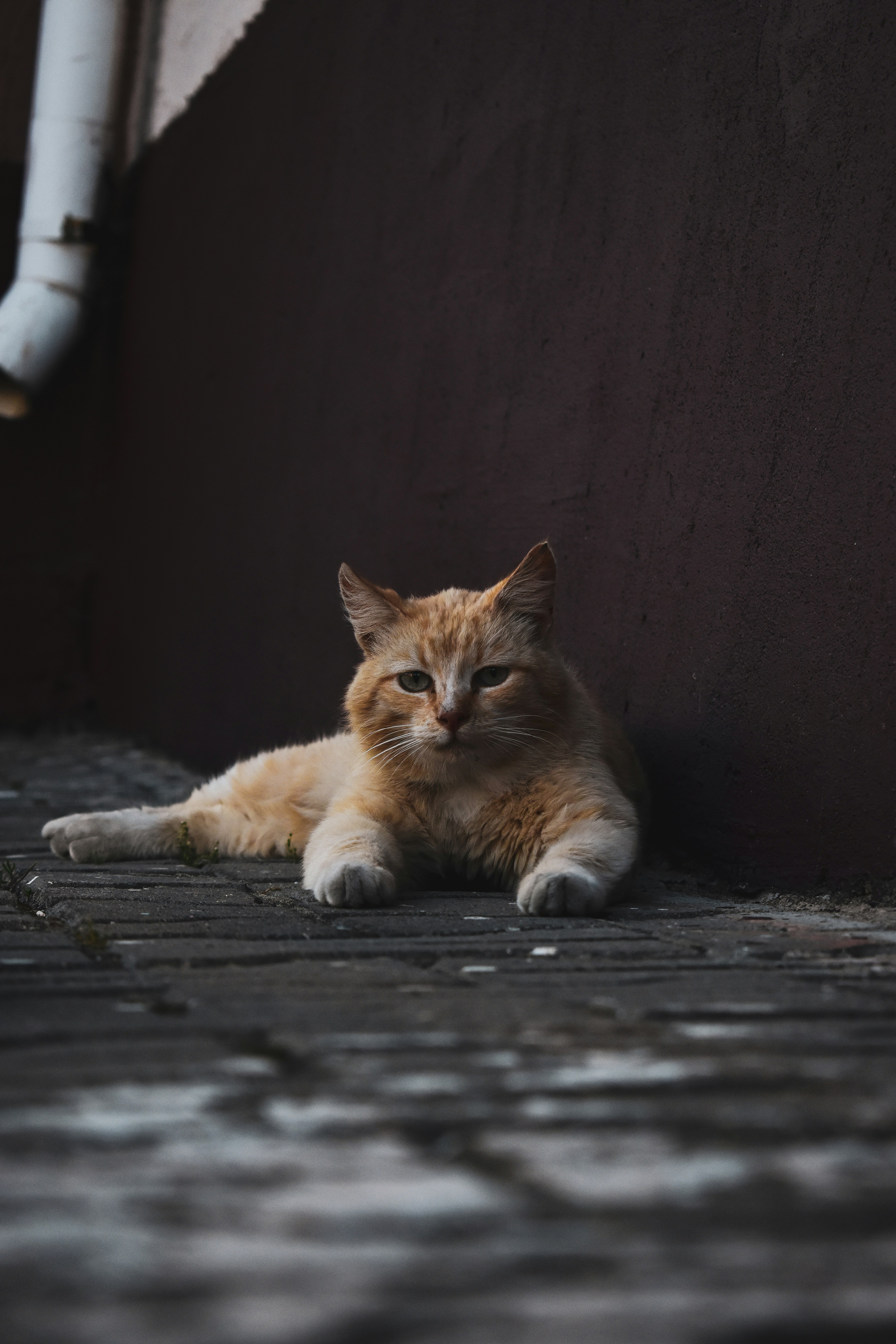 Photo by artem_makarov