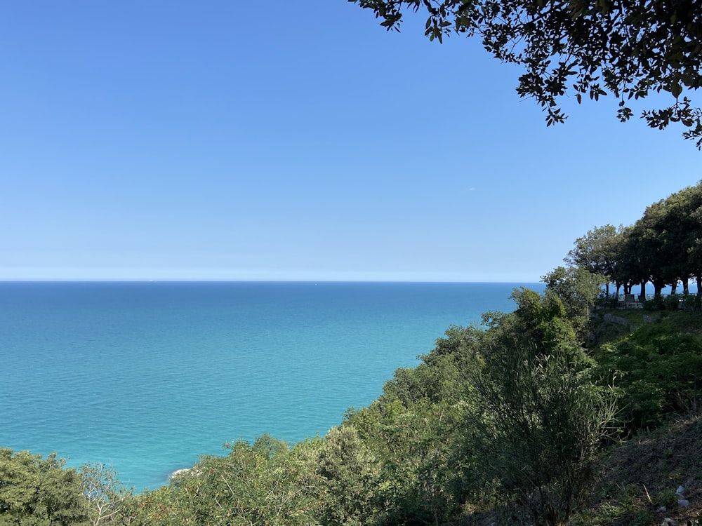 Grüne Bäume in der Nähe des blauen Meeres unter blauem Himmel während des Tages