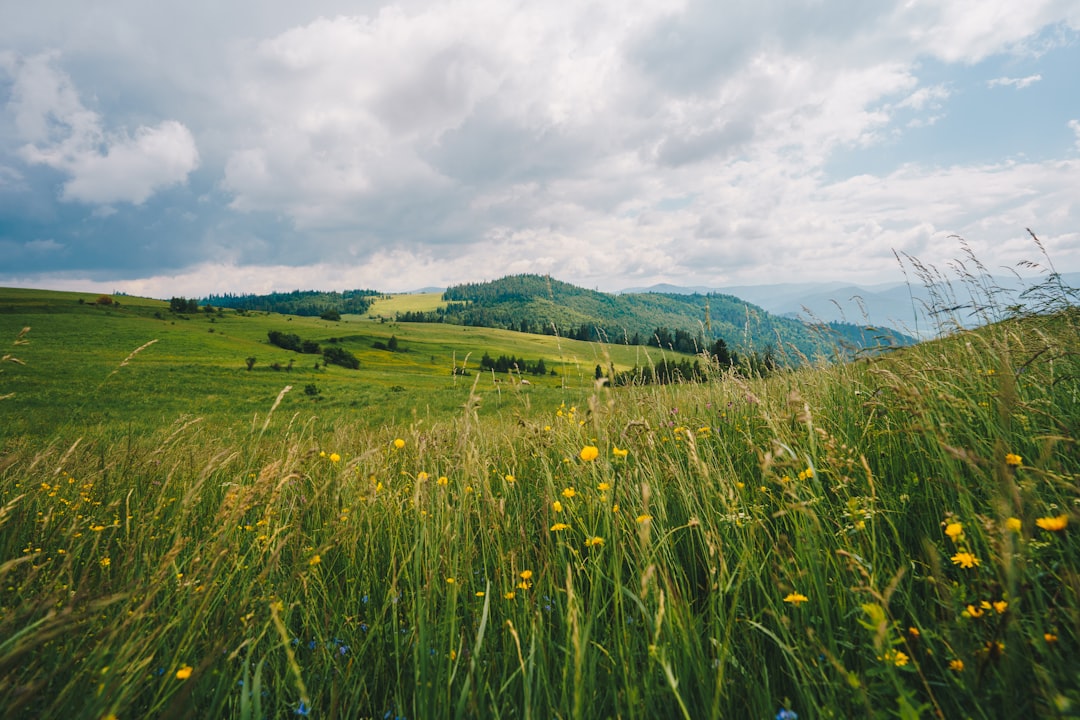 travelers stories about Hill in ZÃ¡vadka, Slovakia