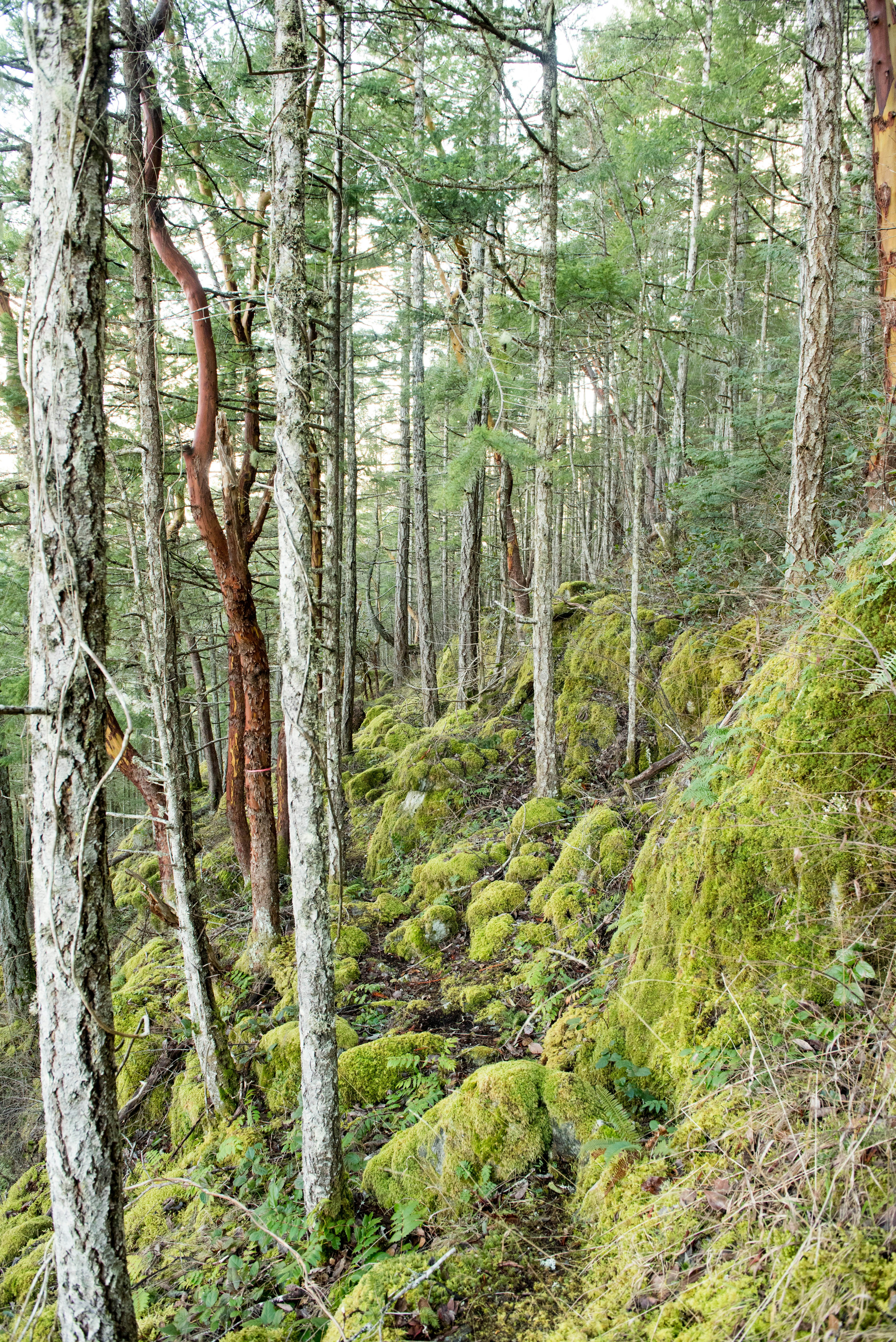 Photo by suzanne_ella