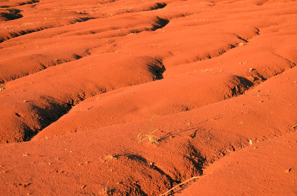 brown sand with snow during daytime