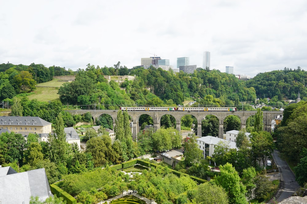 green trees and white bridge during daytime