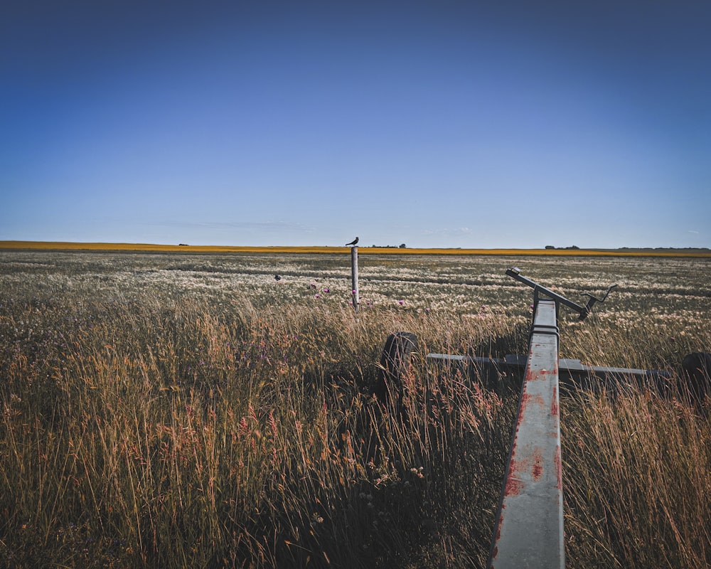 brown wooden pathway between brown grass field under blue sky during daytime