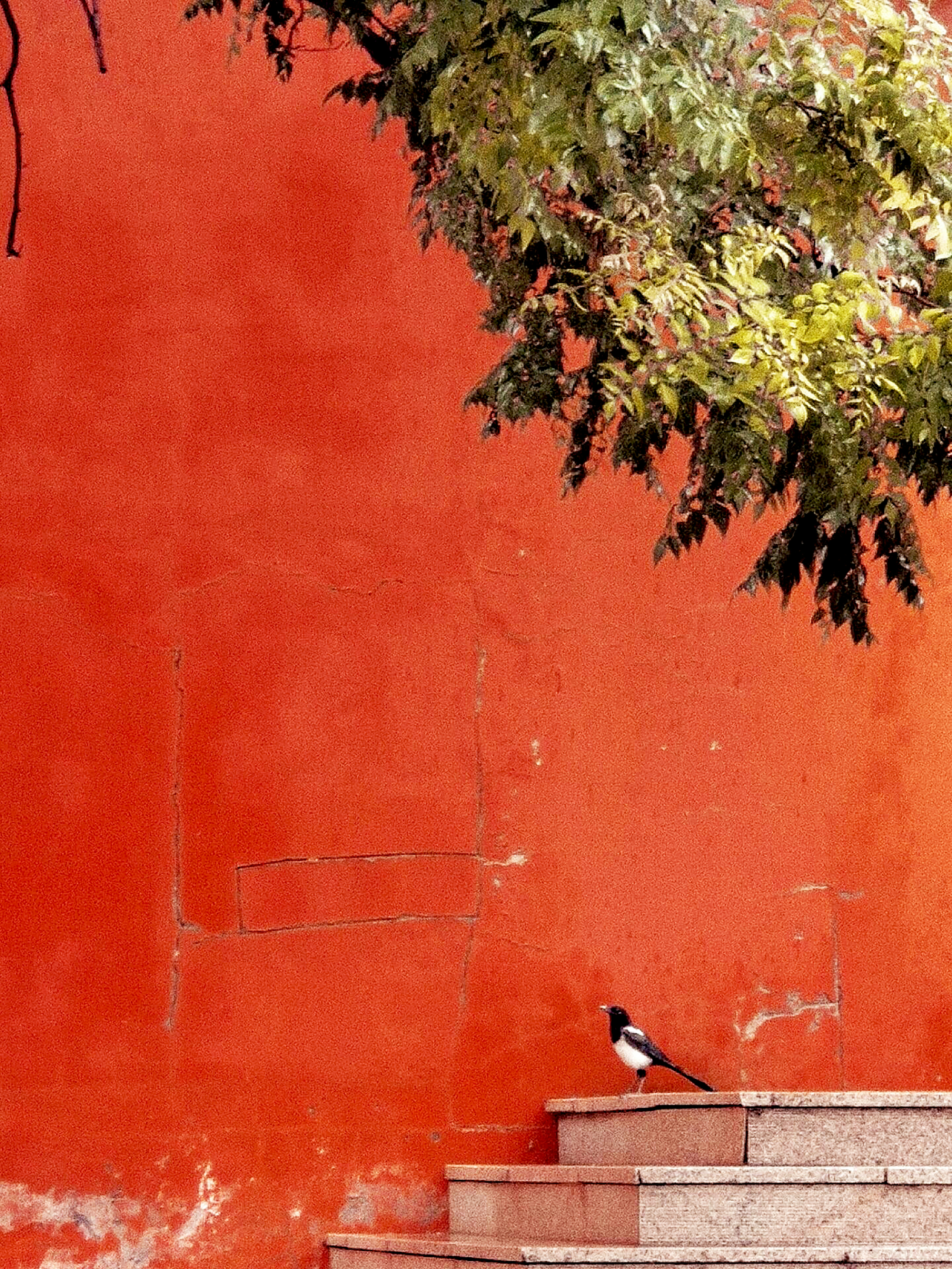 Photo by q3308496236