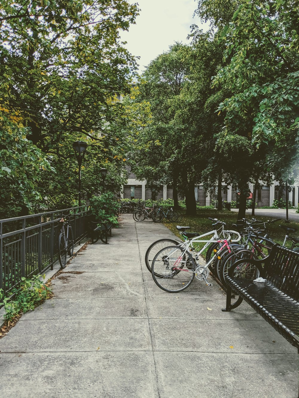 bicycle parked on the side of the road