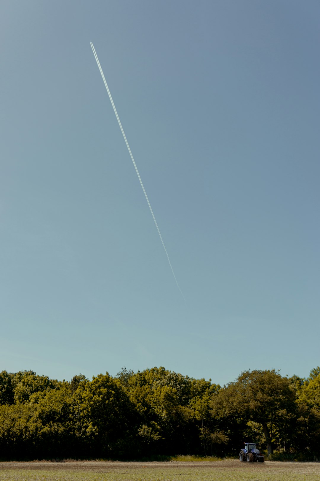 green trees under blue sky during daytime