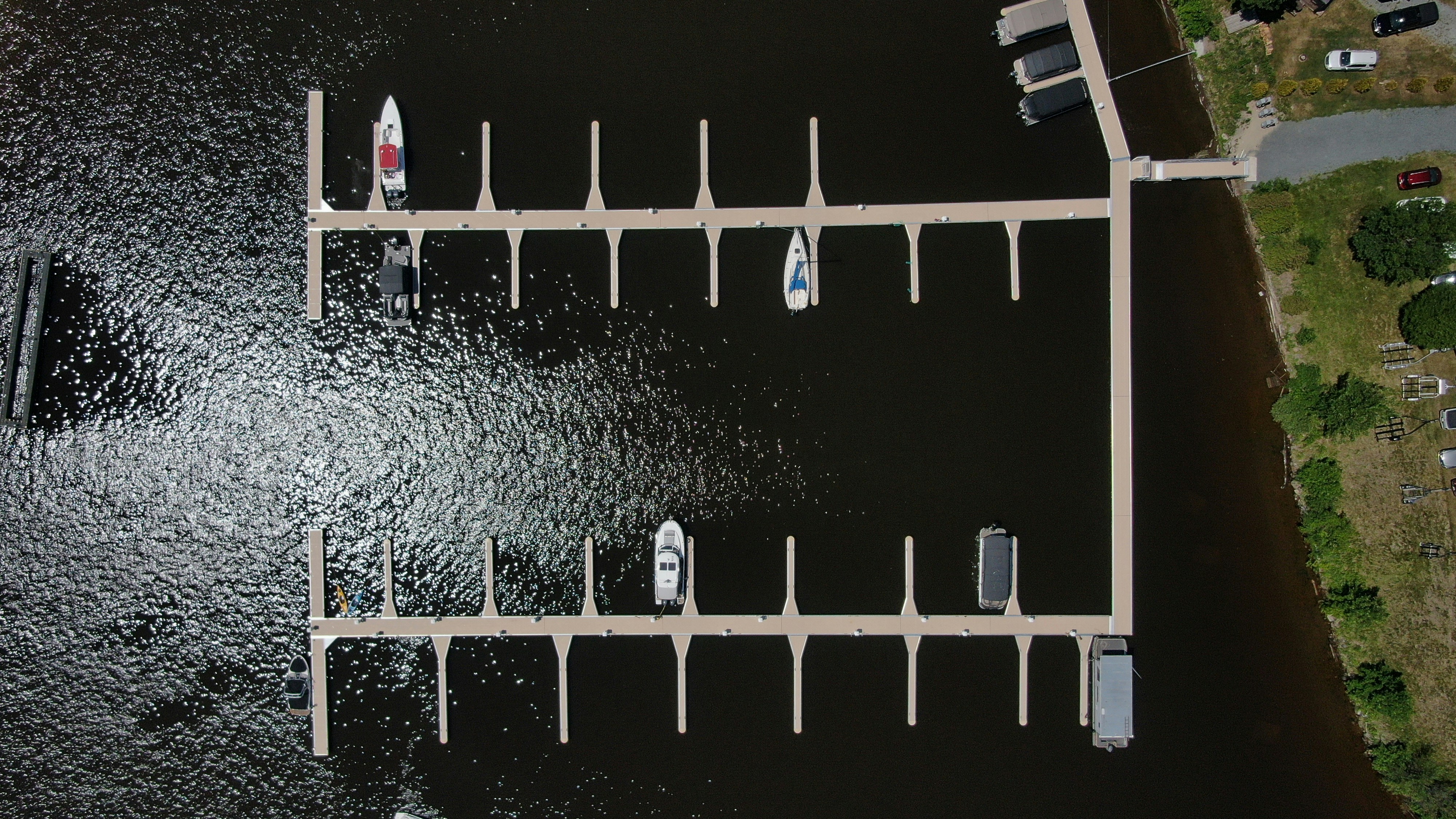 Ingeniería de chasis microbianos hiper eficientes a través de la optimización adaptativa del flujo metabólico