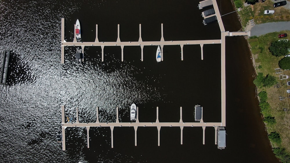 people standing on white wooden dock during daytime