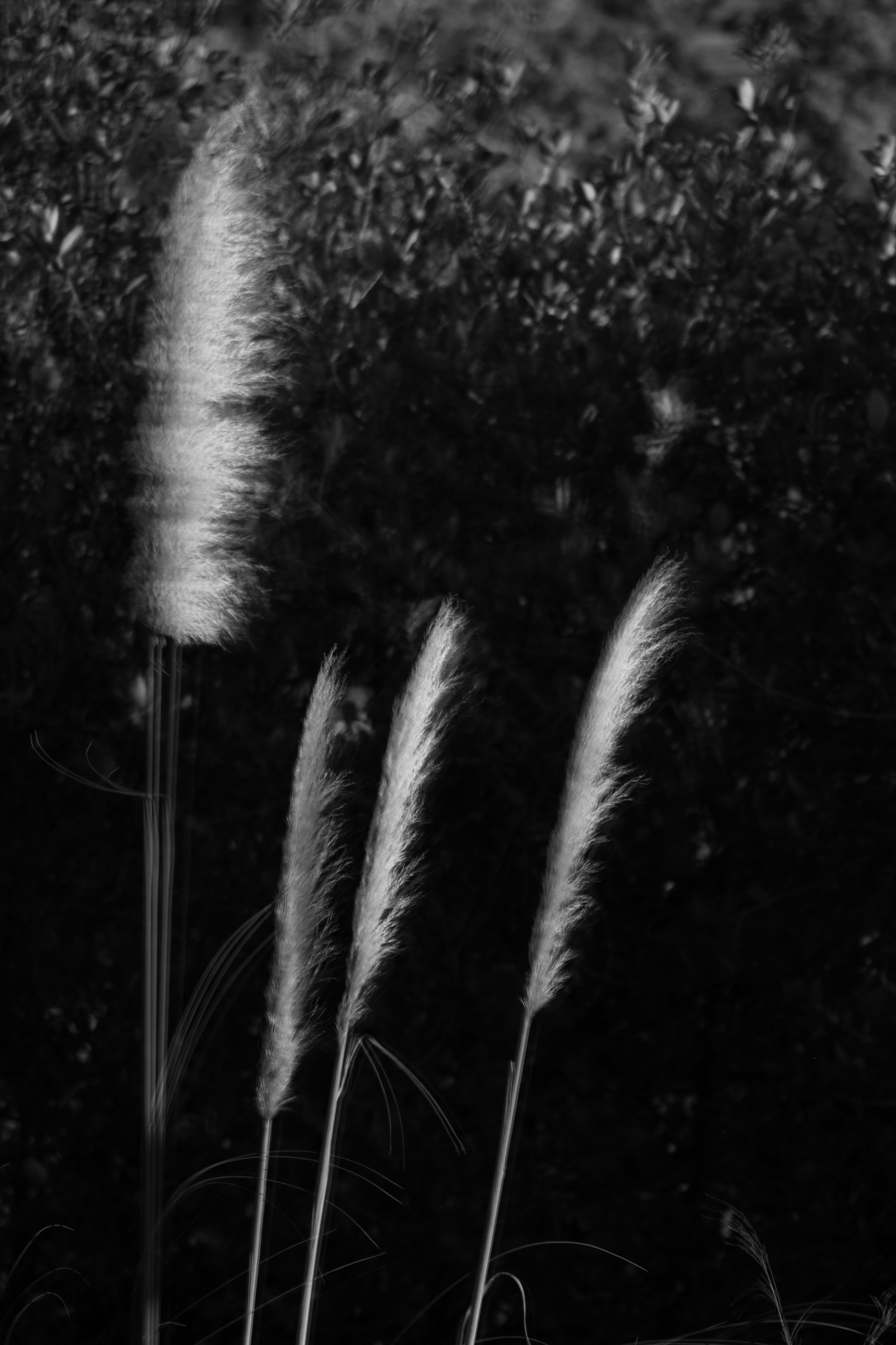 photo-1593134117603-38d332ff825b?ixid=M3wxMjA3fDB8MXxzZWFyY2h8MTJ8fGhpZ2glMjBzdGFrZXMlMjBzd2VlcHN8ZW58MHx8fHwxNzUxNjQyNDc4fDA\u0026ixlib=rb-4.1.0